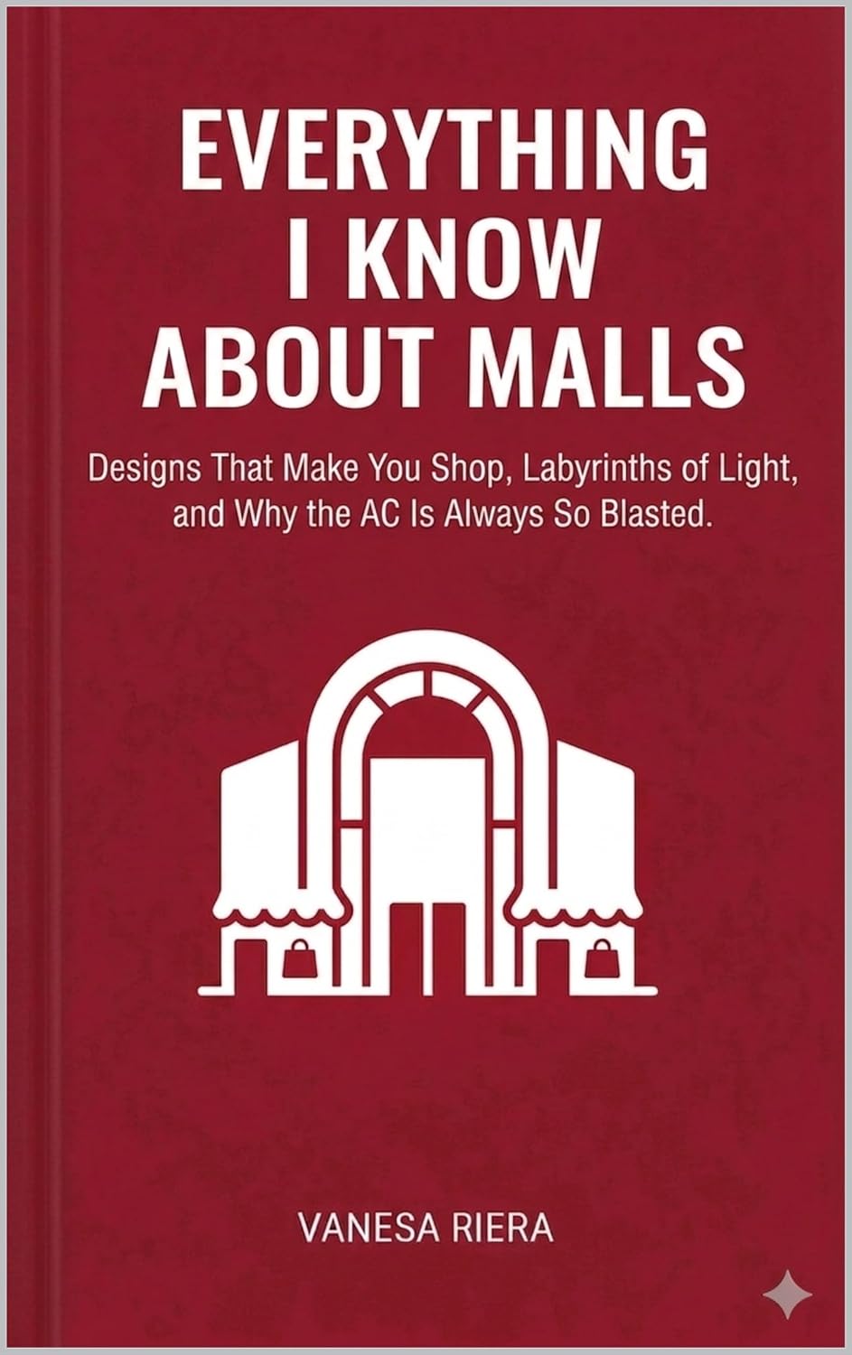 Everything I Know About Malls: Designs That Make You Shop, Labyrinths of Light, and Why the AC Is Always So Blasted (English Edition) baixar o livro de graça