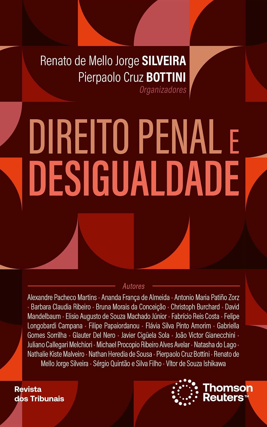 Direito Penal e Desigualdade baixar livro de graça