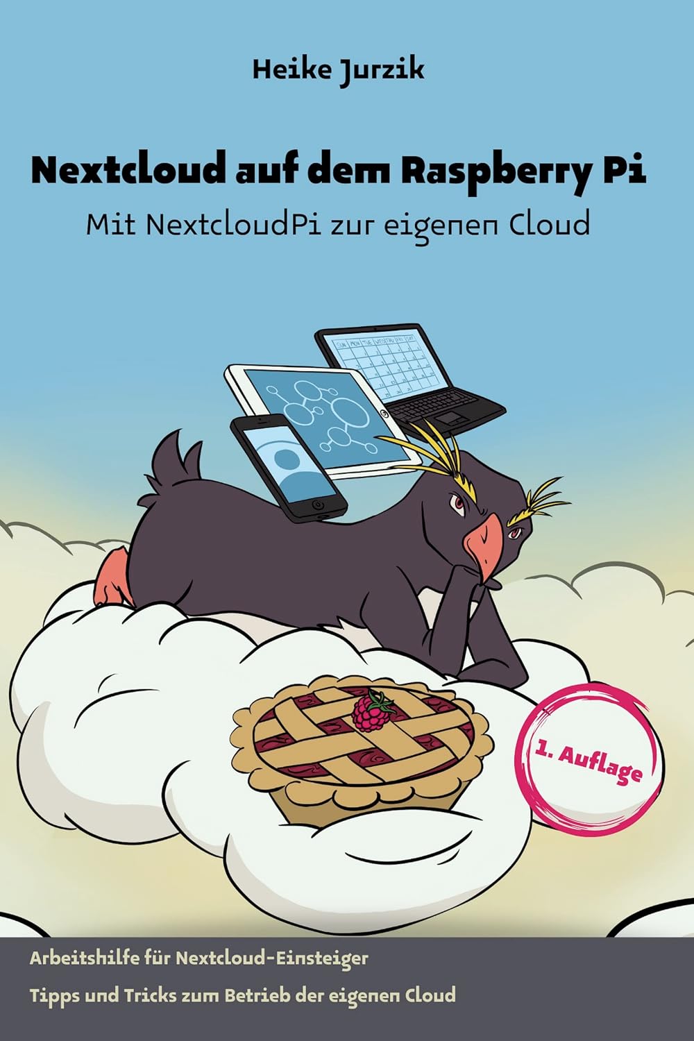 Nextcloud auf dem Raspberry Pi: Mit NextcloudPi zur eigenen Cloud (German Edition) baixar livro de graça