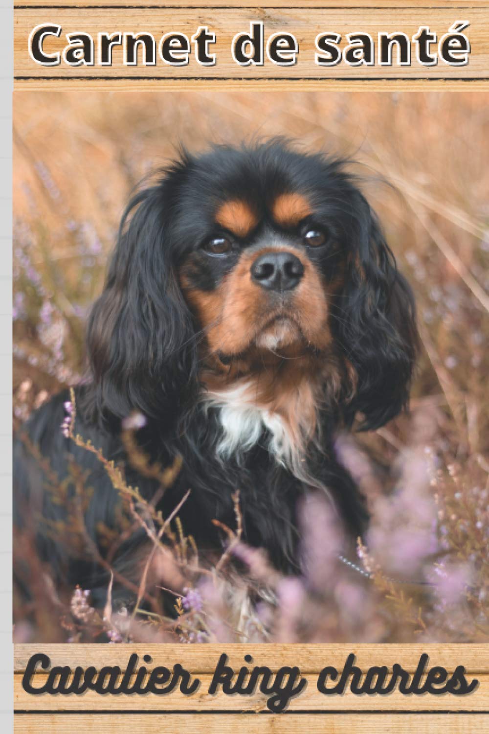 CARNET DE SANTE CAVALIER KING CHARLES: Mon cahier de suivi santé chien Cavalier king charles à remplir ou compléter | Mon carnet santé chien |... cm sur 22,86 cm 101 pages (French Edition) baixar o livro de graça