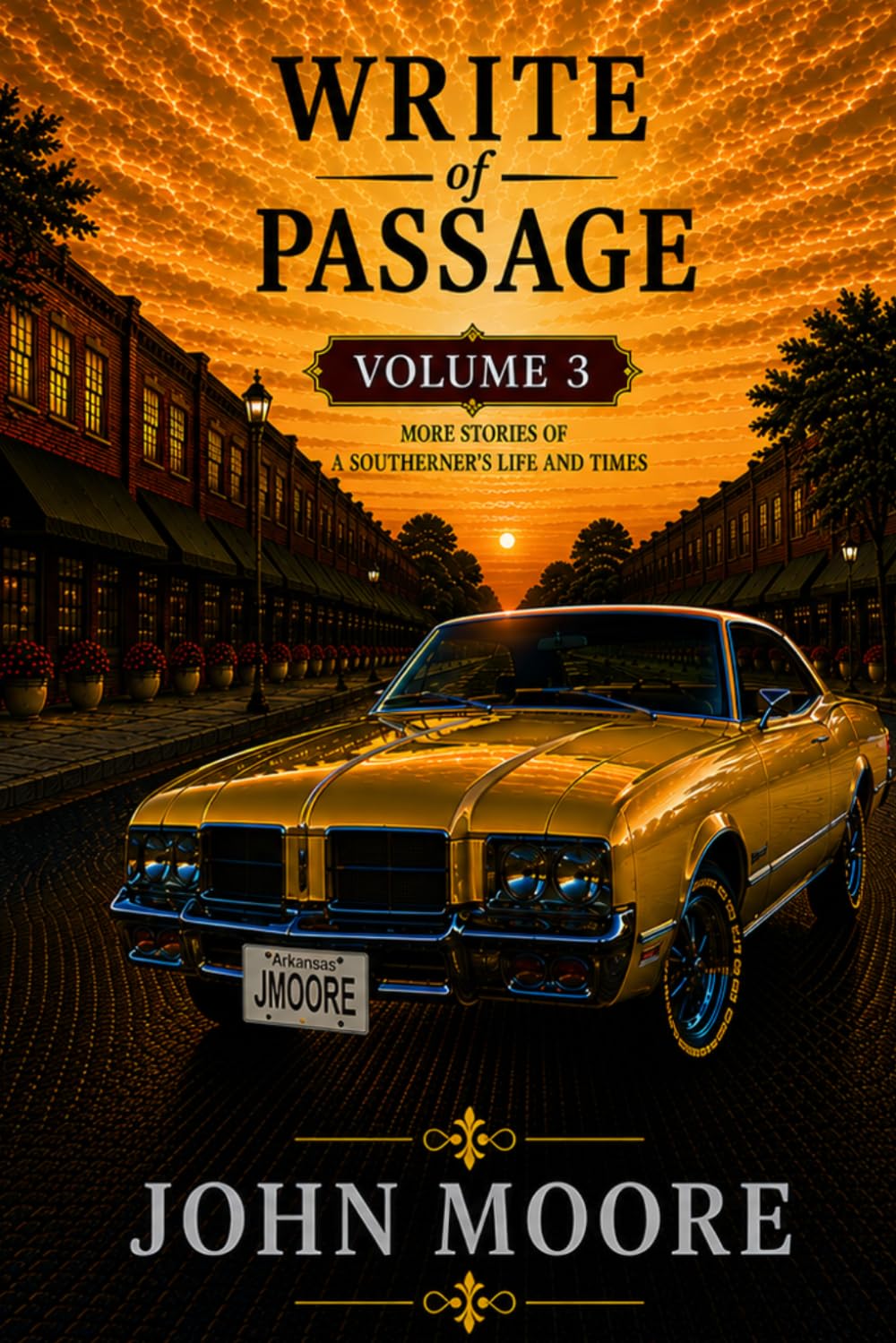 Write of Passage: Volume 3: A Southerner's View of Then and Now baixar livro de graça