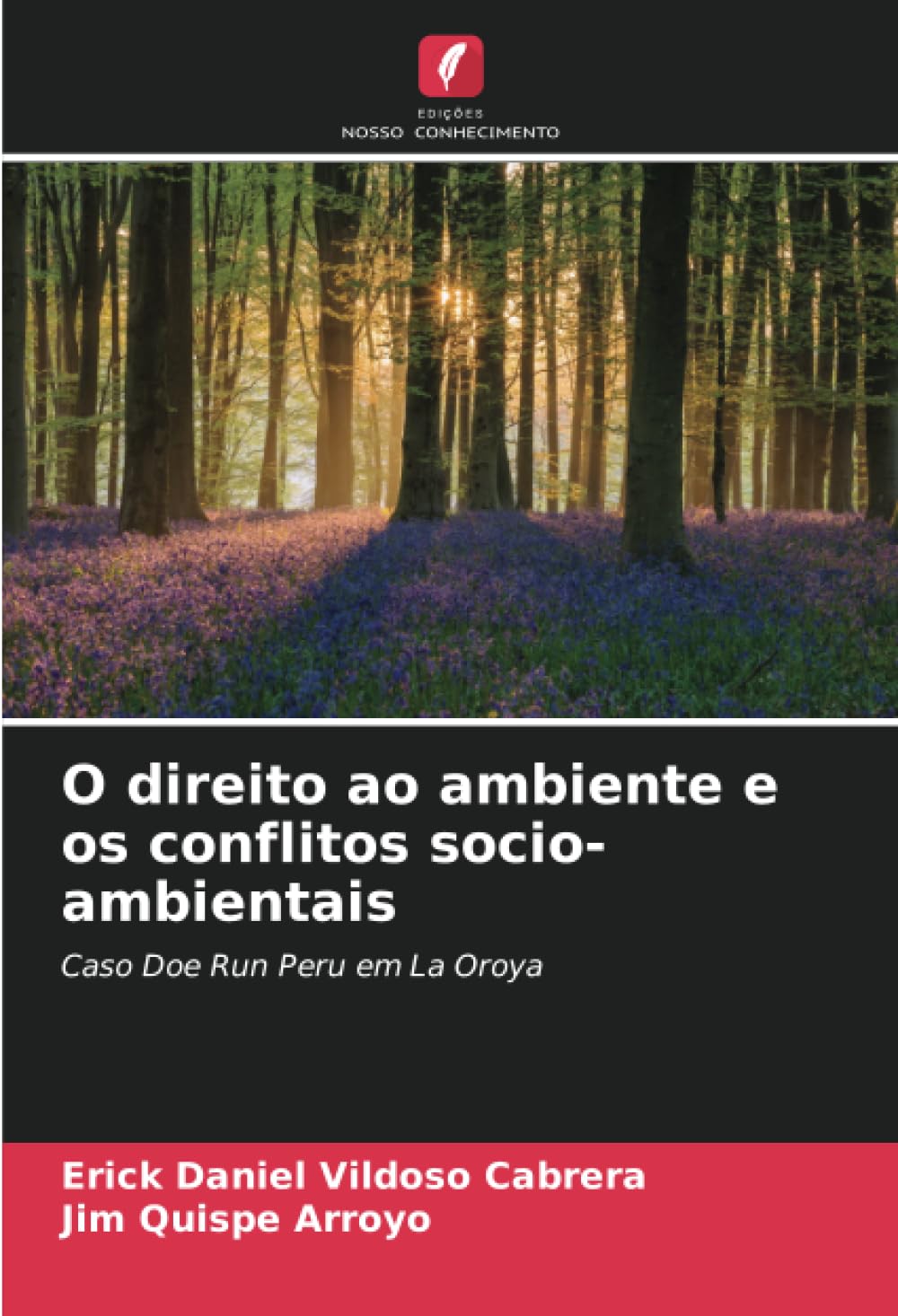 O direito ao ambiente e os conflitos socio-ambientais: Caso Doe Run Peru em La Oroya (Portuguese Edition) baixar o livro de graça