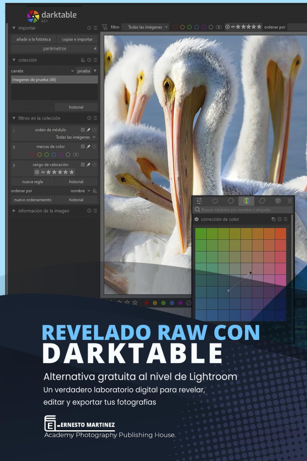 Revelado de Calidad con Darktable.: Alternativa gratuita al nivel de Lightroom. baixar o livro de graça