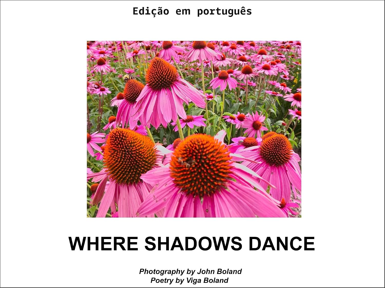 Onde as sombras dançam baixar o livro de graça