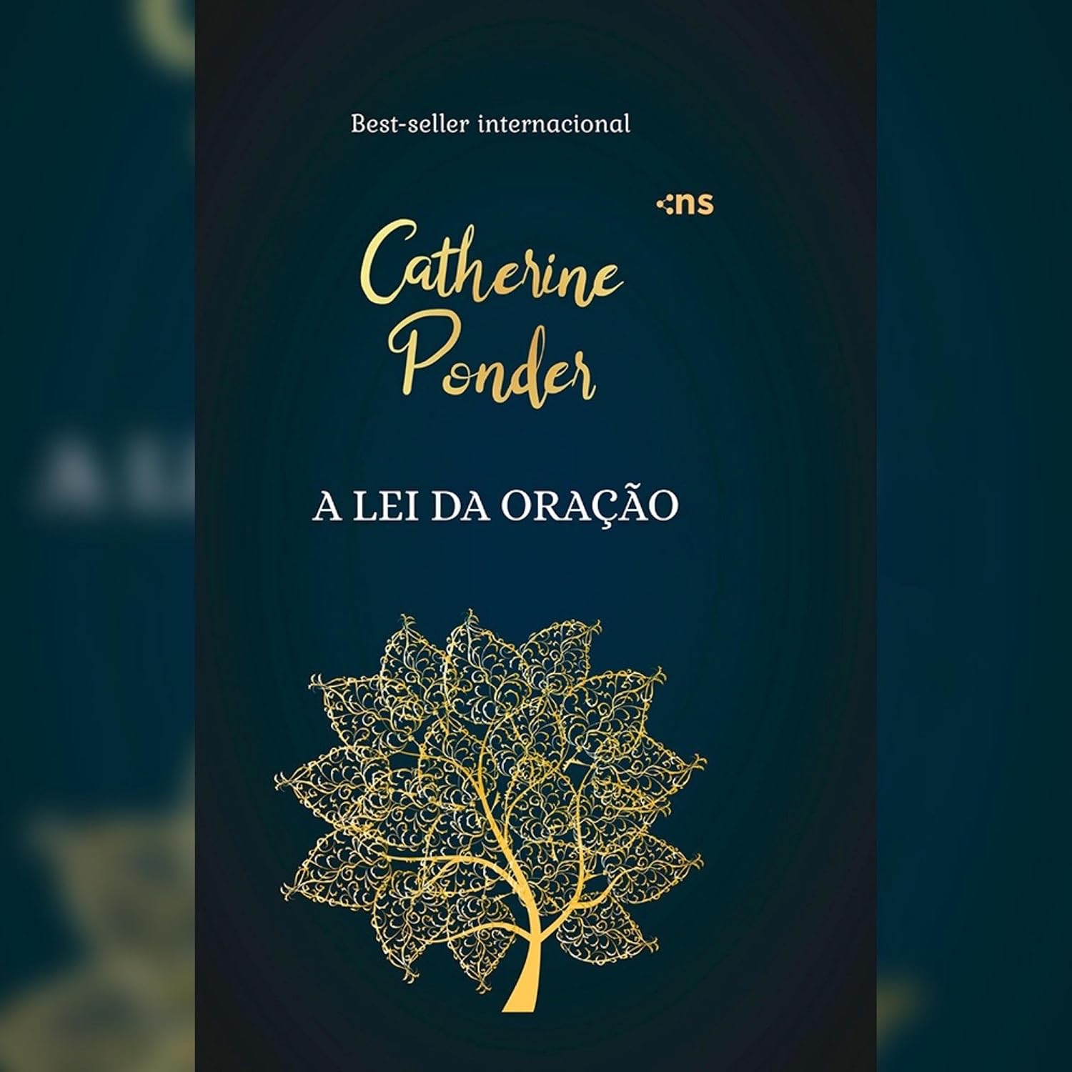 A lei da oração baixar o livro de graça