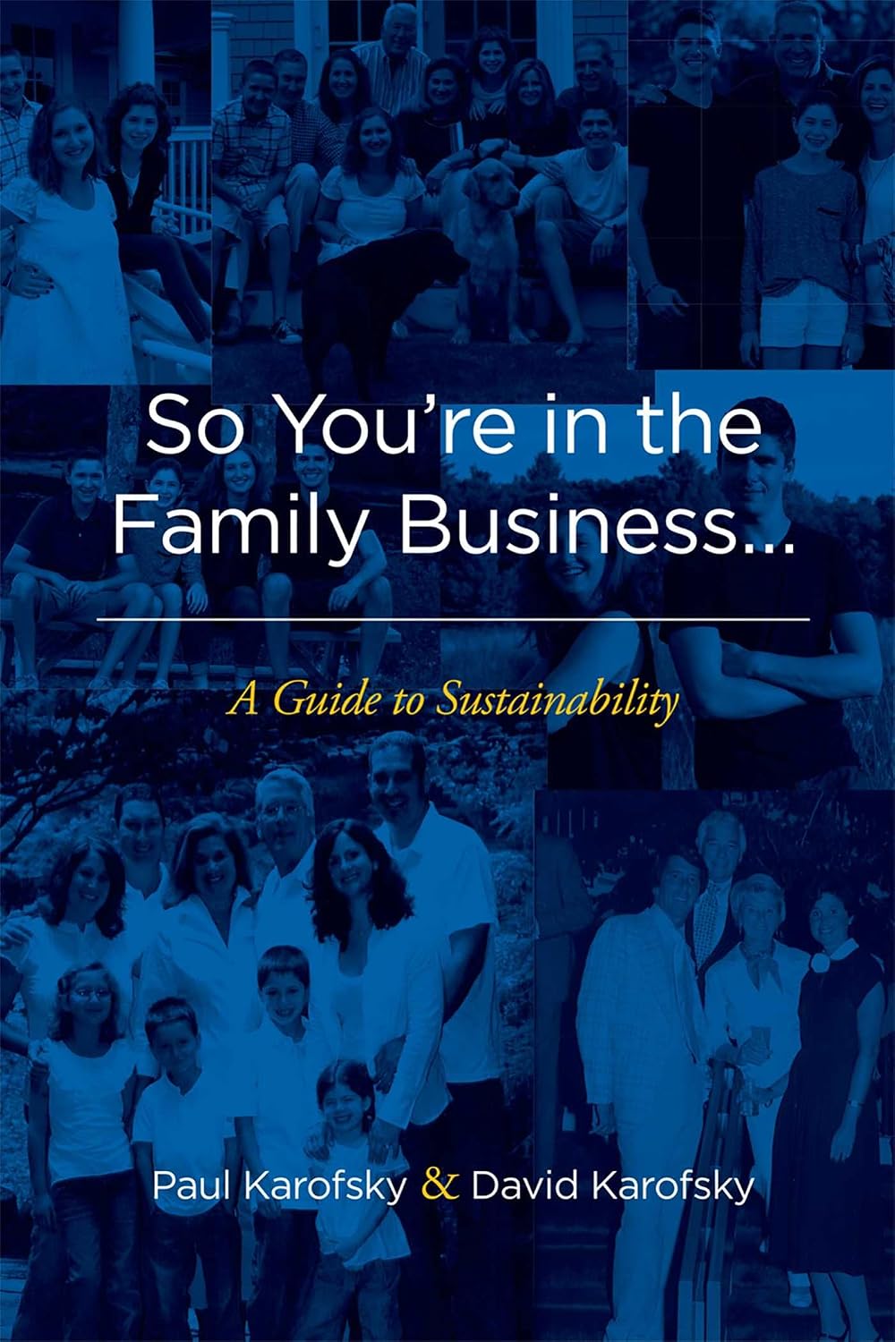 capítulo por capítulo baixar So You're in the Family Business...: A Guide to Sustainability (English Edition)