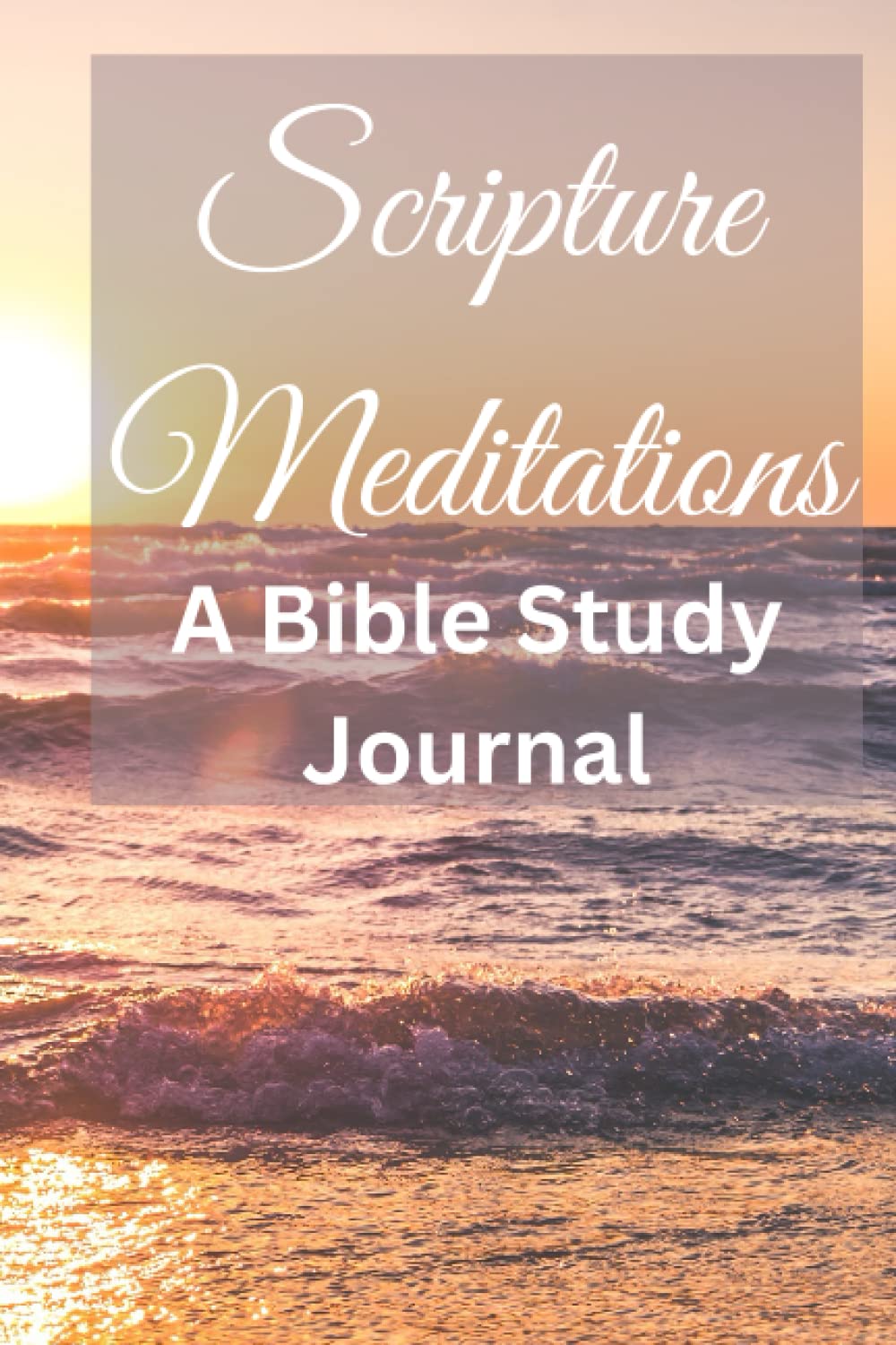 Scripture Meditations: A Bible Study Journal baixar livro de graça