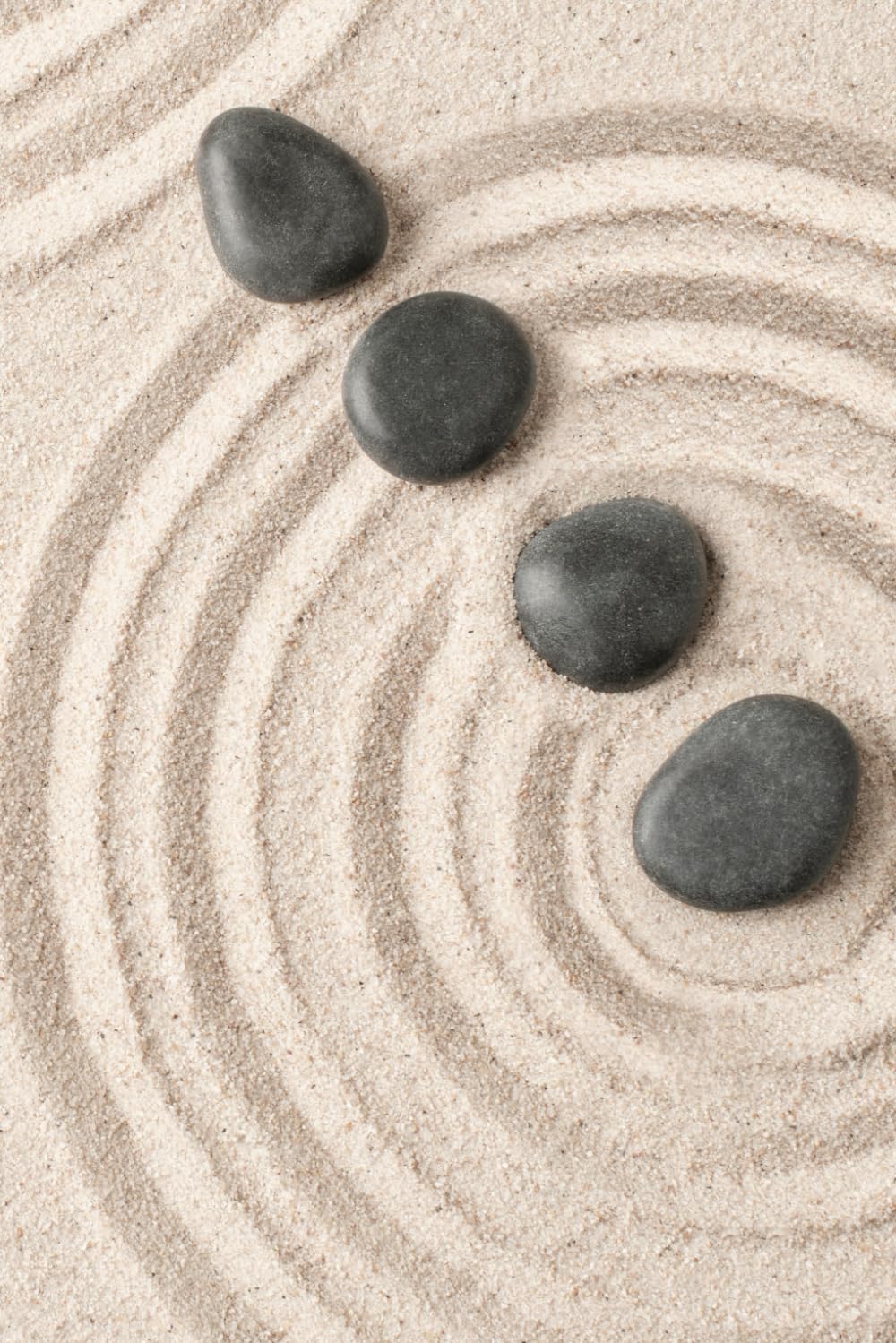 ler totalmente Zen Stones Journal: a GRAPH PAPER notebook for self-expression