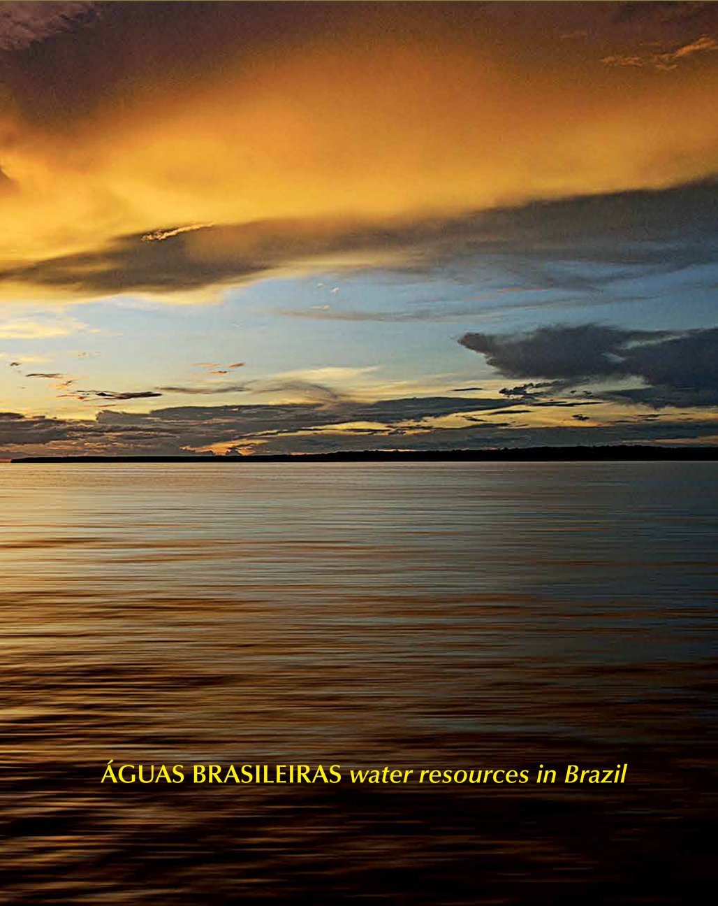 Águas Brasileiras / Water Resources in Brazil baixar livro de graça