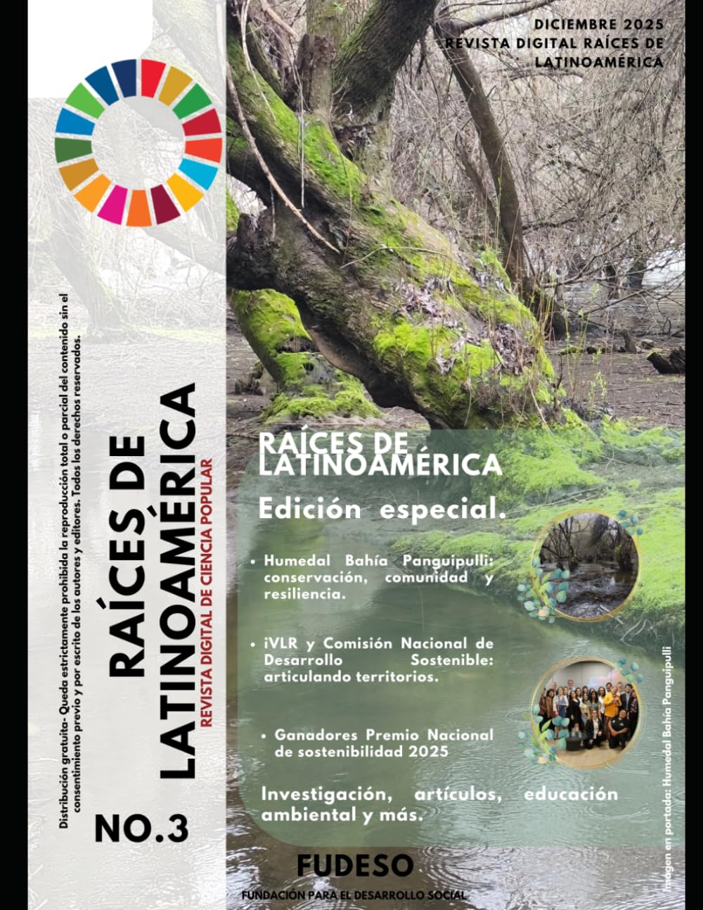 capítulo por capítulo baixar Raíces de Latinoamérica: Revista de difusión científica libre (Spanish Edition)