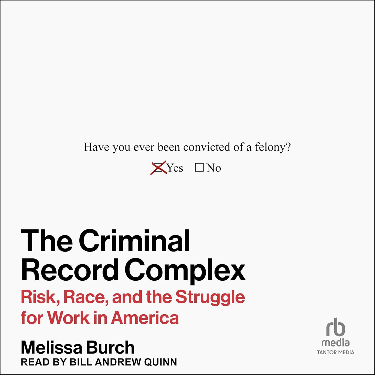 The Criminal Record Complex: Risk, Race, and the Struggle for Work in America baixar livro de graça