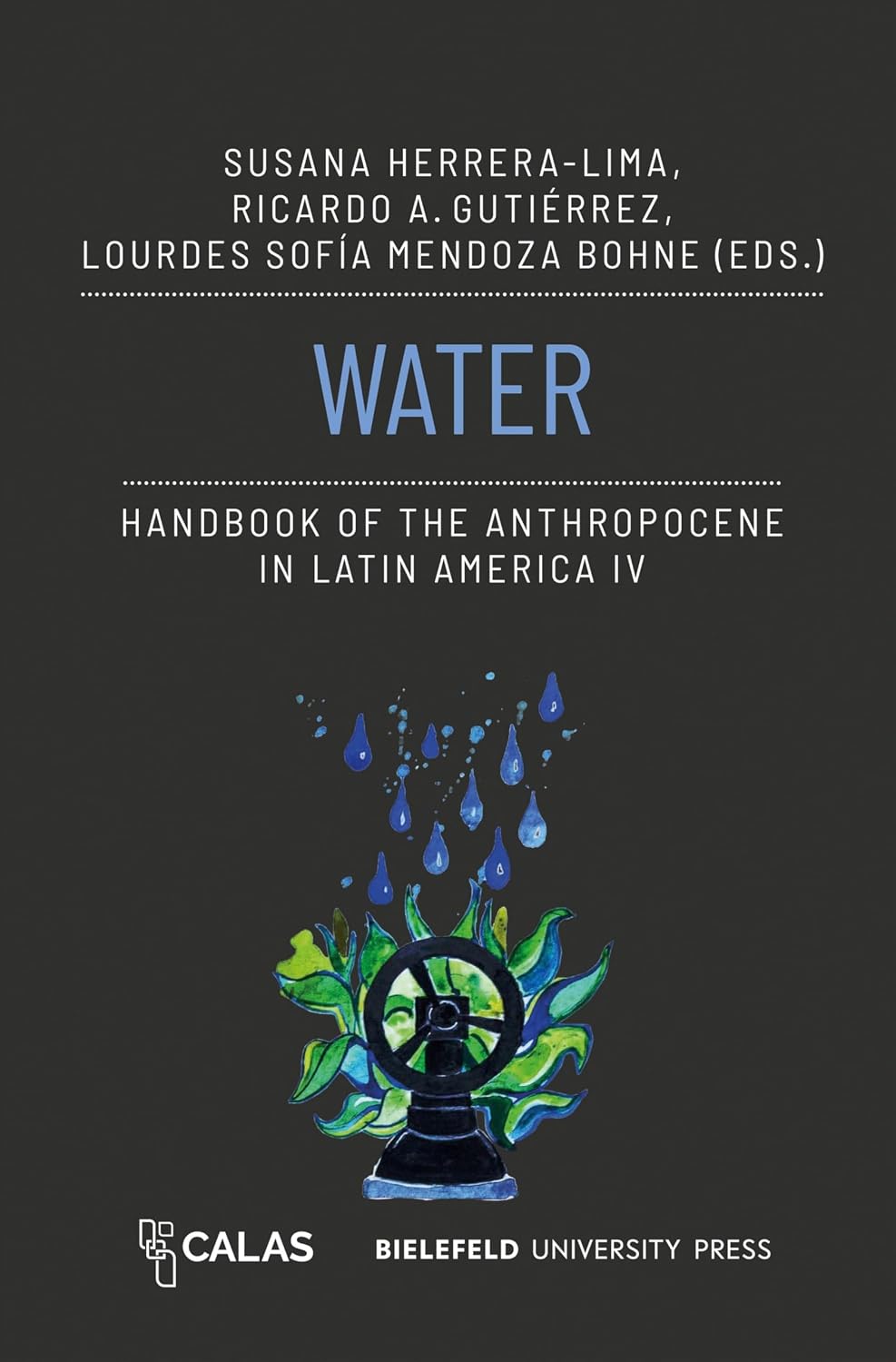 Water – Handbook of the Anthropocene in Latin America IV (The Anthropocene as Multiple Crisis: Perspectives from Latin America) (English Edition) baixar livro de graça