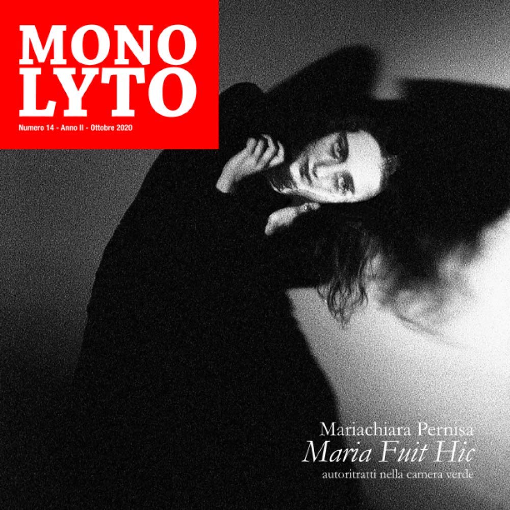 ler totalmente Maria fuit hic: Autoritratti nella camera verde (Monolyto) (Italian Edition)
