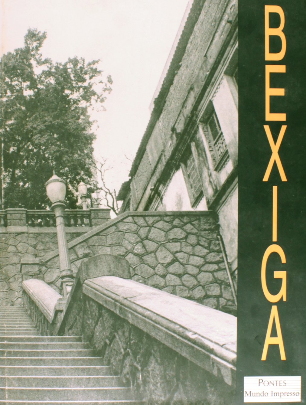 capítulo por capítulo baixar Bexiga