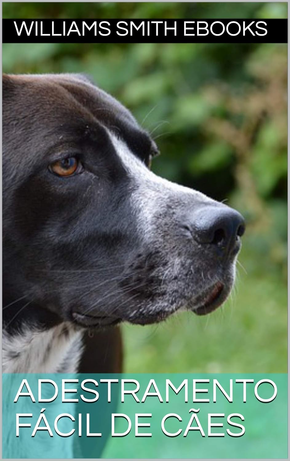 Adestramento fácil de cães baixar o livro de graça