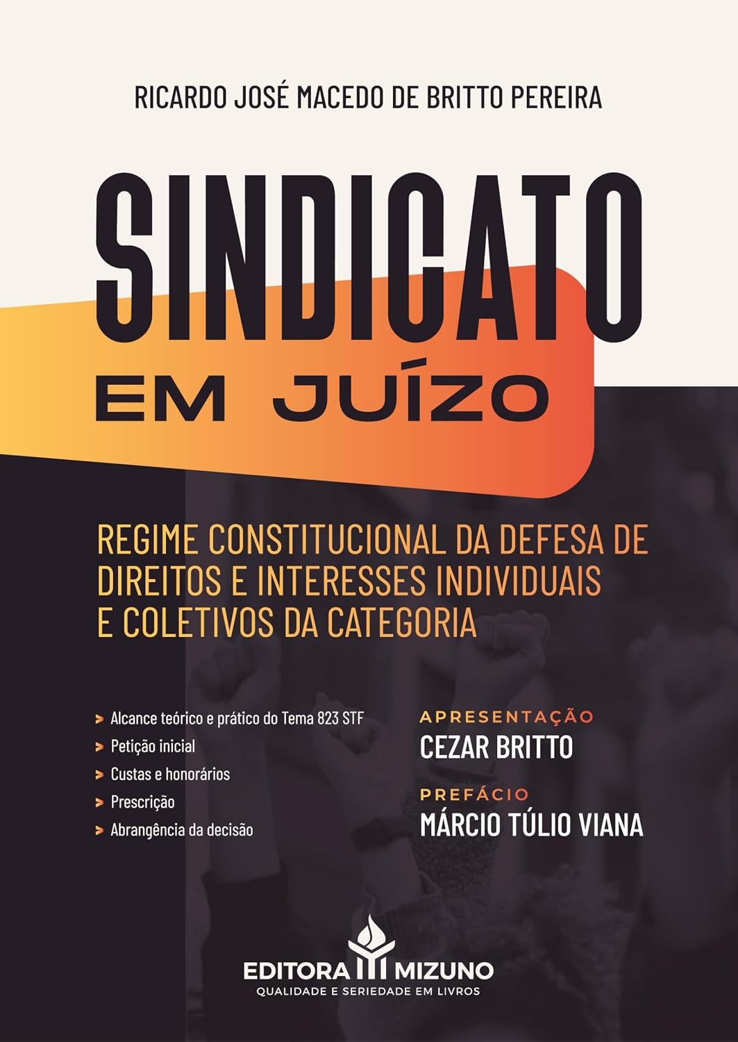 Sindicato em Juízo baixar livro de graça