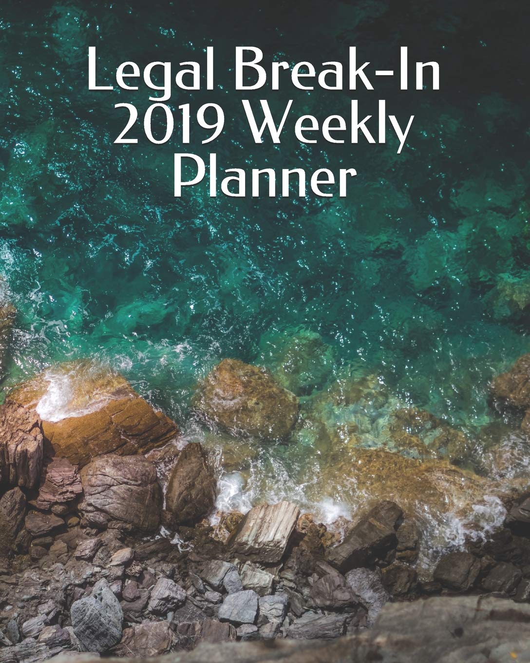 capítulo por capítulo baixar Legal Break-In 2019 Weekly Planner