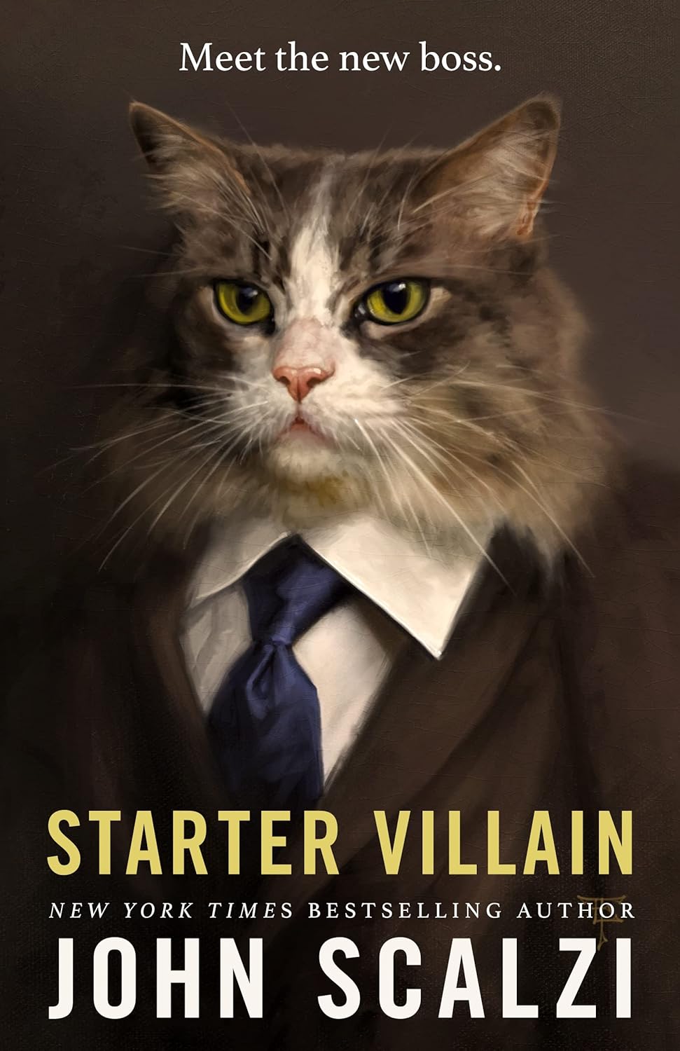 capítulo por capítulo baixar Starter Villain (English Edition)