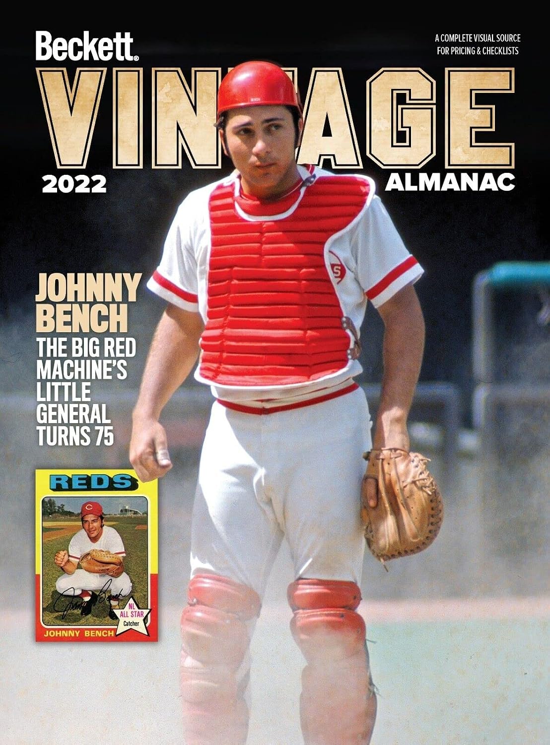 capítulo por capítulo baixar Vintage Almanac #8