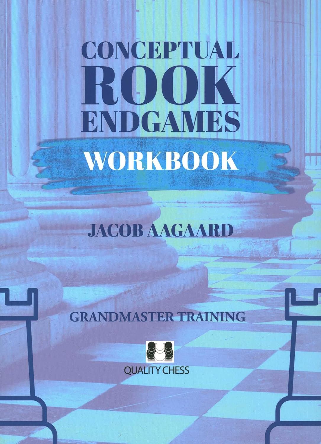 Conceptual Rook Endgames Workbook baixar livro de graça