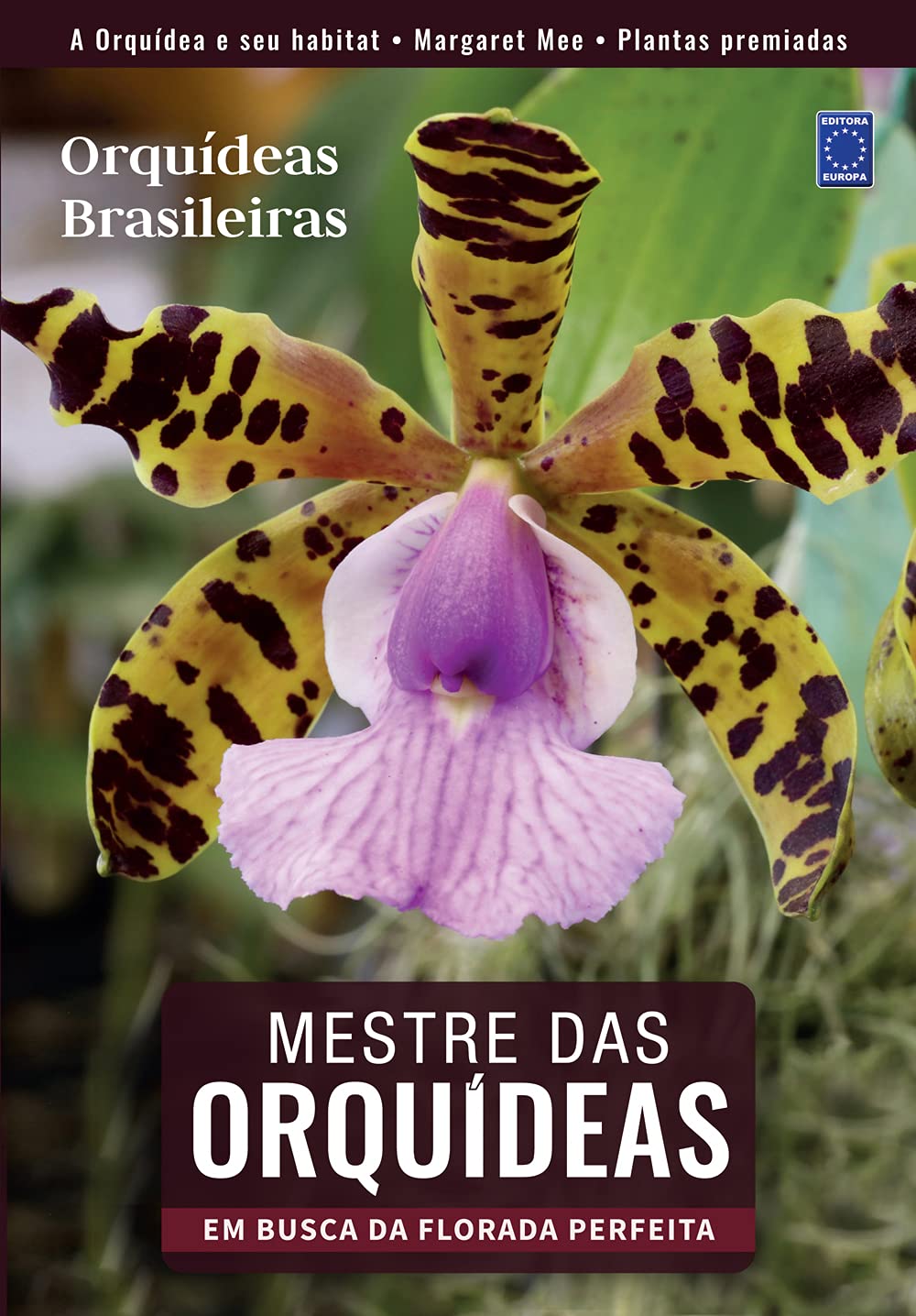 Mestre das Orquídeas - Volume 2: Orquídeas Brasileiras baixar livro de graça