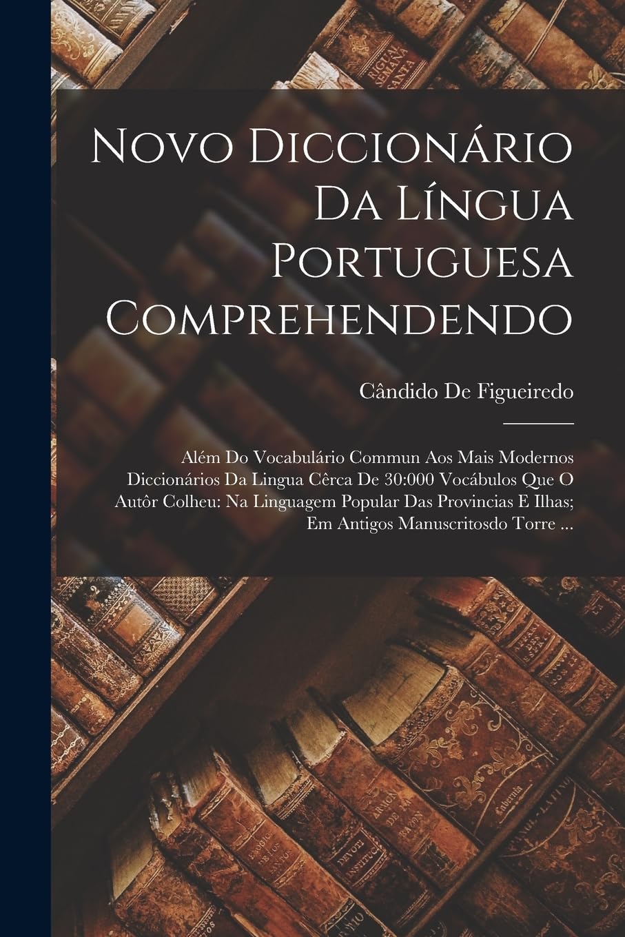 Novo Diccionário Da Língua Portuguesa Comprehendendo: Além Do Vocabulário Commun Aos Mais Modernos Diccionários Da Lingua Cêrca De 30:000 Vocábulos... E Ilhas; Em Antigos Manuscritosdo Torre... baixar o livro de graça