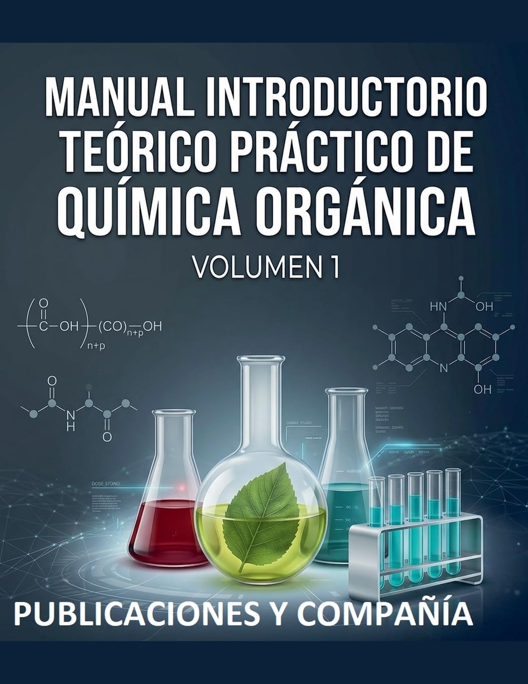 capítulo por capítulo baixar Manual Introductorio Teorico y Practico de Quimica Organica (Volumen 1)