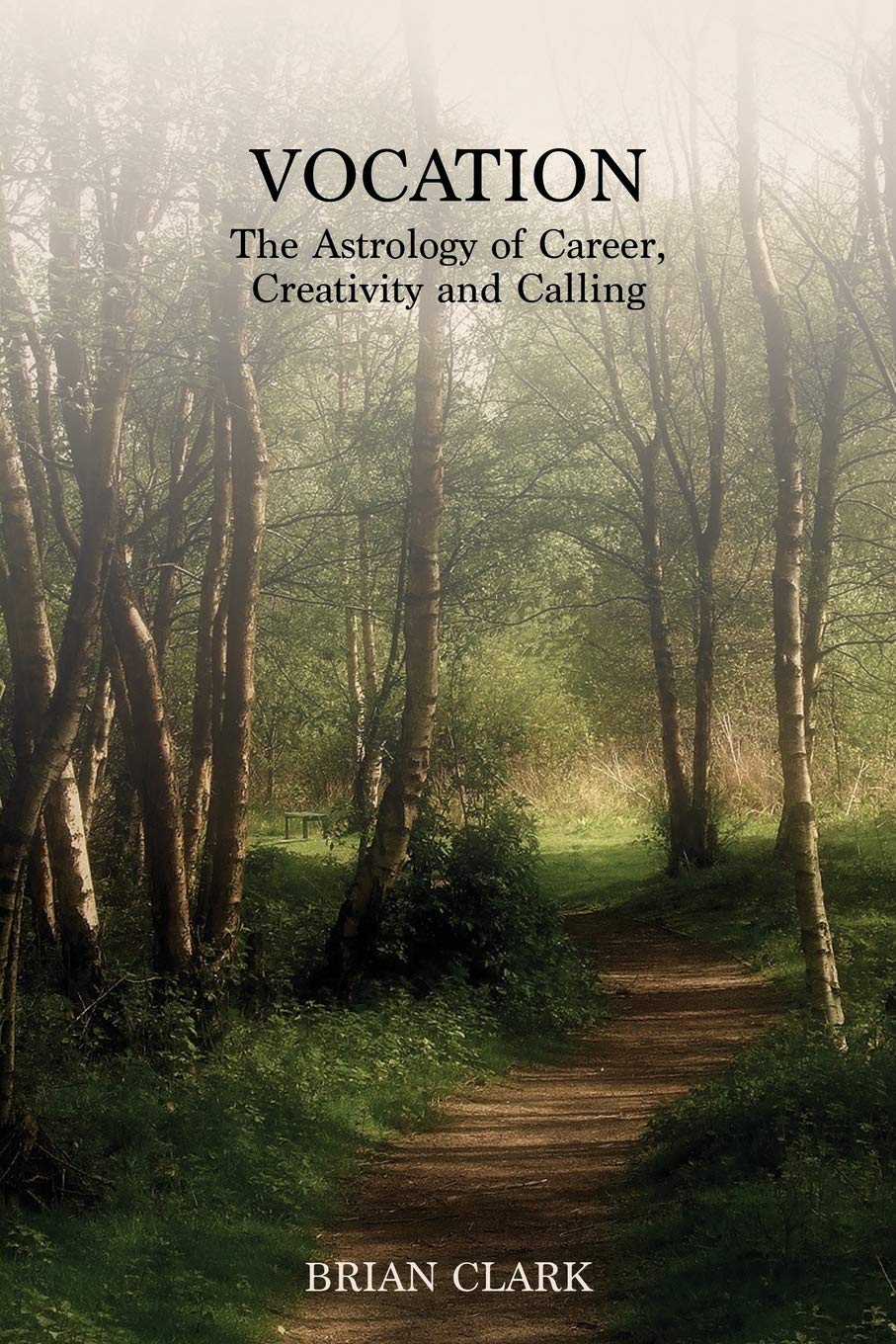 capítulo por capítulo baixar Vocation: The Astrology of Career, Creativity and Calling