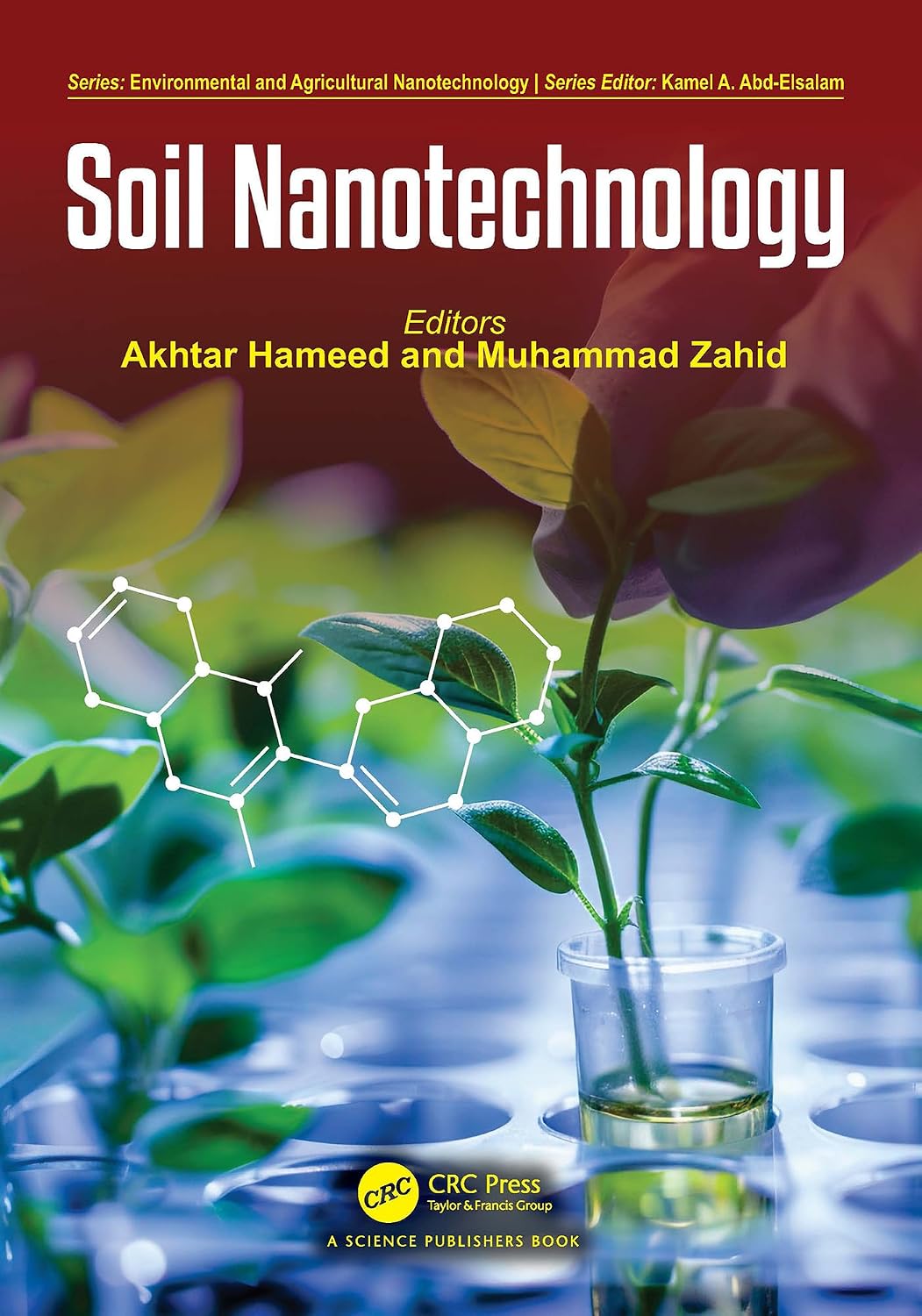 Soil Nanotechnology (Environmental and Agricultural Nanotechnology) (English Edition) baixar o livro de graça