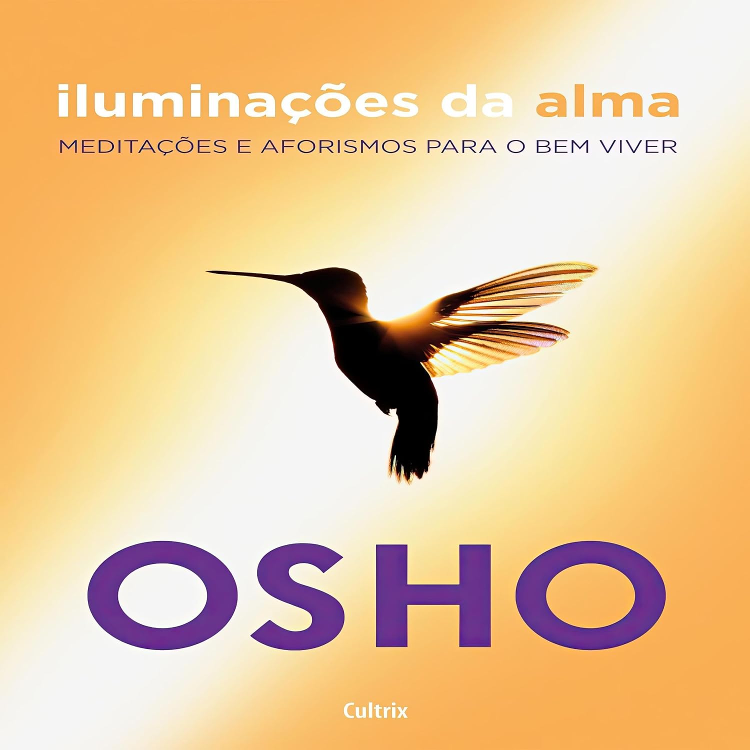 Iluminações da Alma: Meditações e Aforismos para o Bem Viver baixar o livro de graça