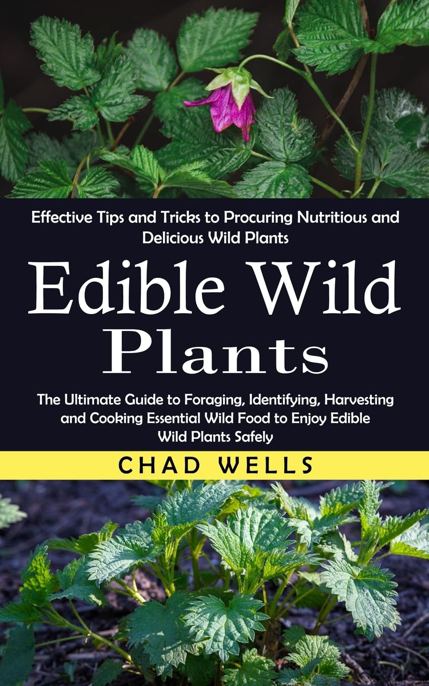 ler totalmente Edible Wild Plants: Effective Tips and Tricks to Procuring Nutritious and Delicious Wild Plants (The Ultimate Guide to Foraging, Identifying,... Wild Food to Enjoy Edible Wild Plants Safely)