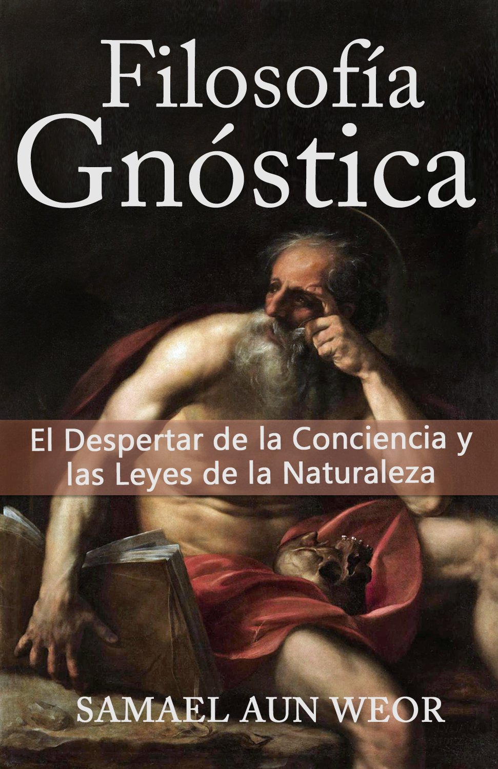 FILOSOFIA GNOSTICA: El Despertar de la Conciencia y las Leyes de la Naturaleza (Spanish Edition) baixar livro de graça