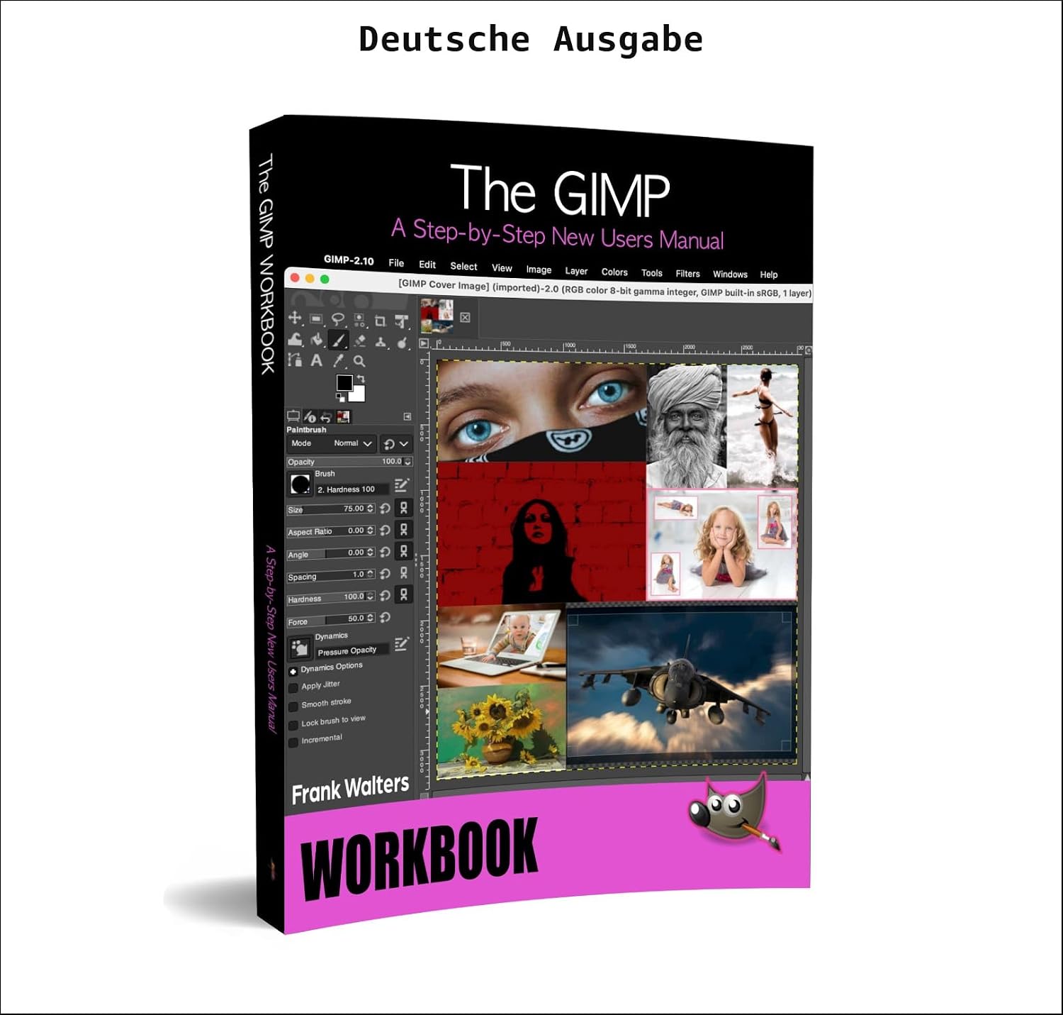 Das GIMP-Arbeitsbuch (German Edition) baixar livro de graça