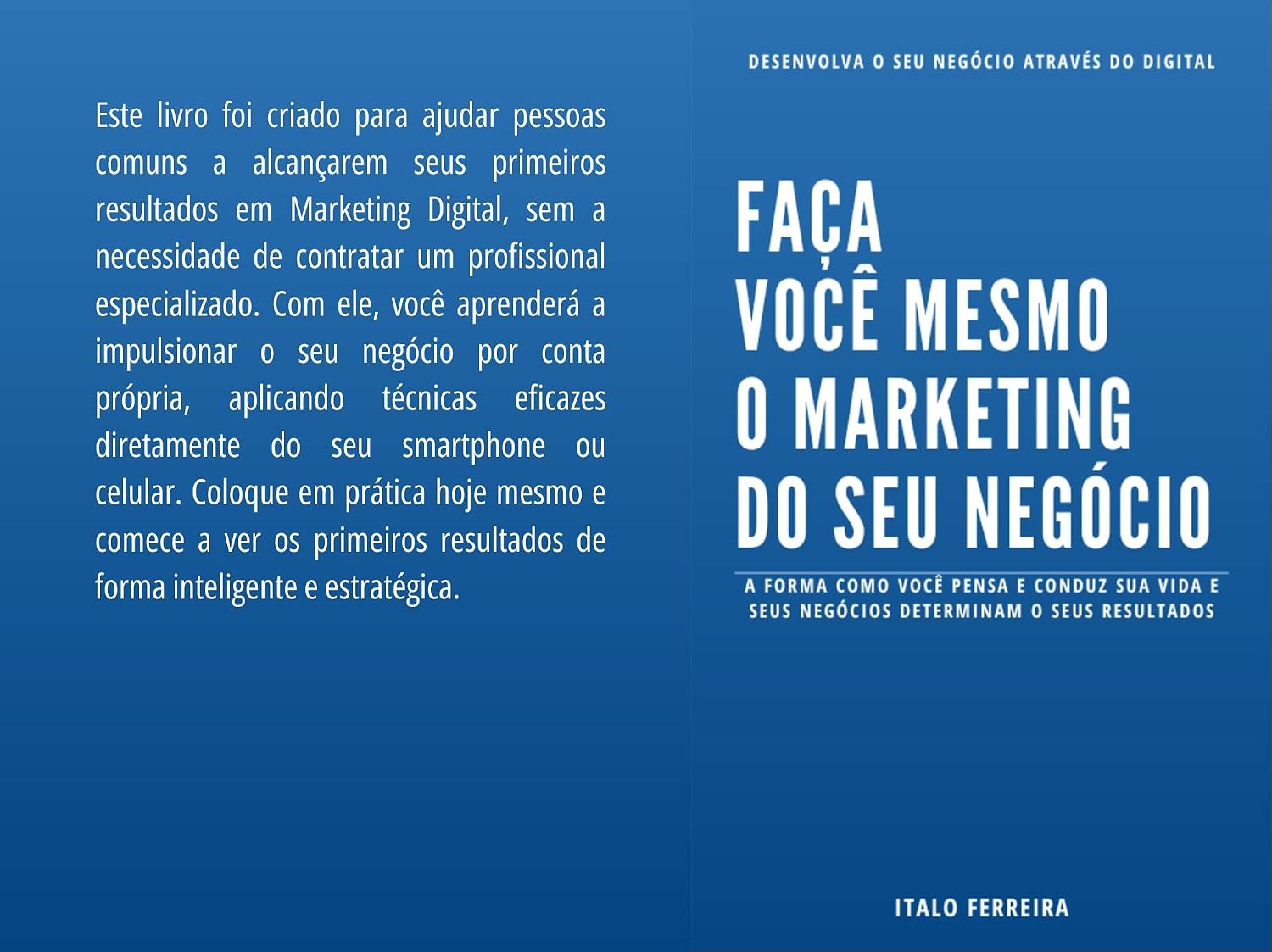 Faça Você Mesmo o Marketing do Seu Negócio: A forma como você conduz sua vida e seu negócios determinam seu resultado! baixar livro de graça