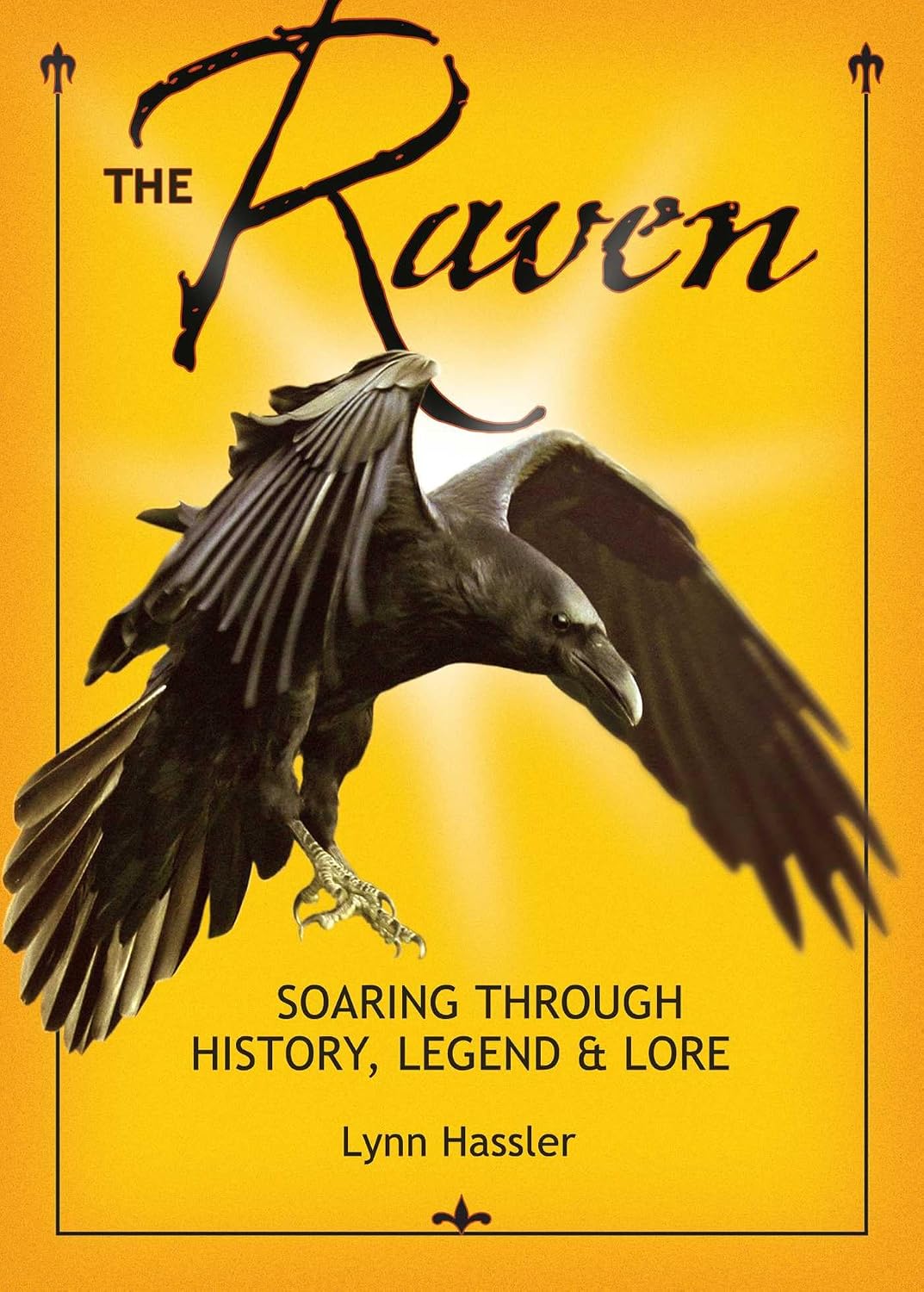 capítulo por capítulo baixar Raven: Soaring Through History (English Edition)