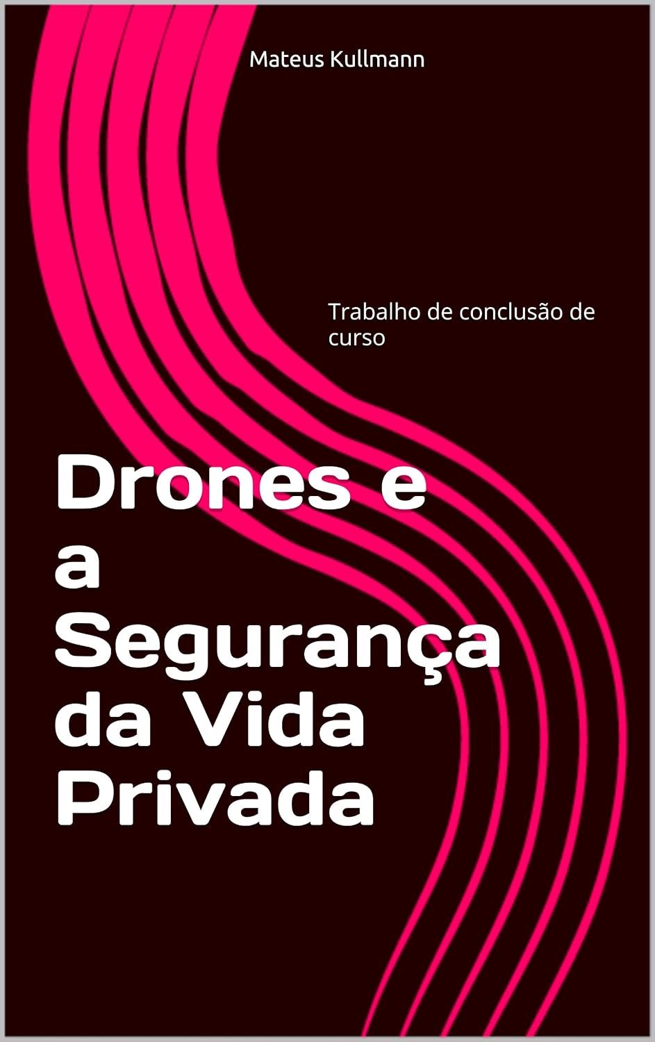 Drones e a Segurança da Vida Privada baixar livro de graça