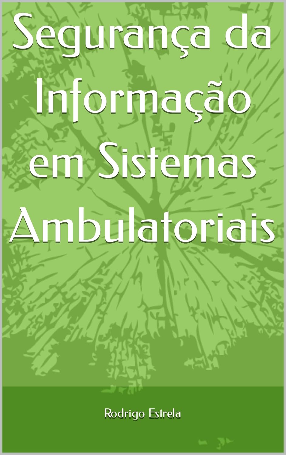 Segurança da Informação em Sistemas Ambulatoriais baixar livro de graça
