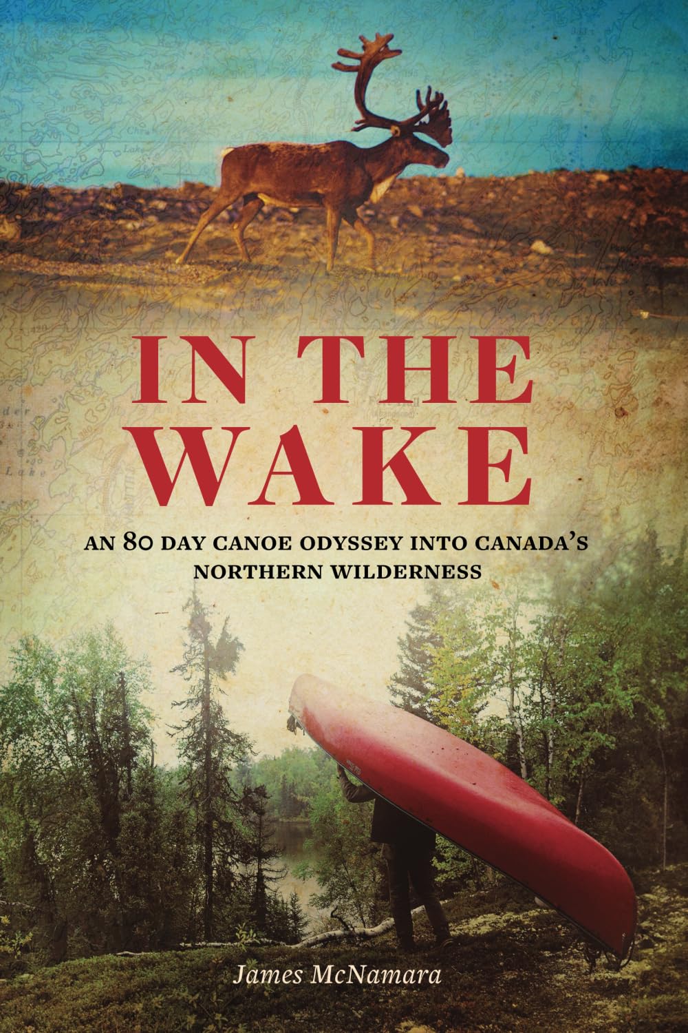 In the Wake: An 80 Day Canoe Odyssey Into Canada's Northern Wilderness baixar o livro de graça