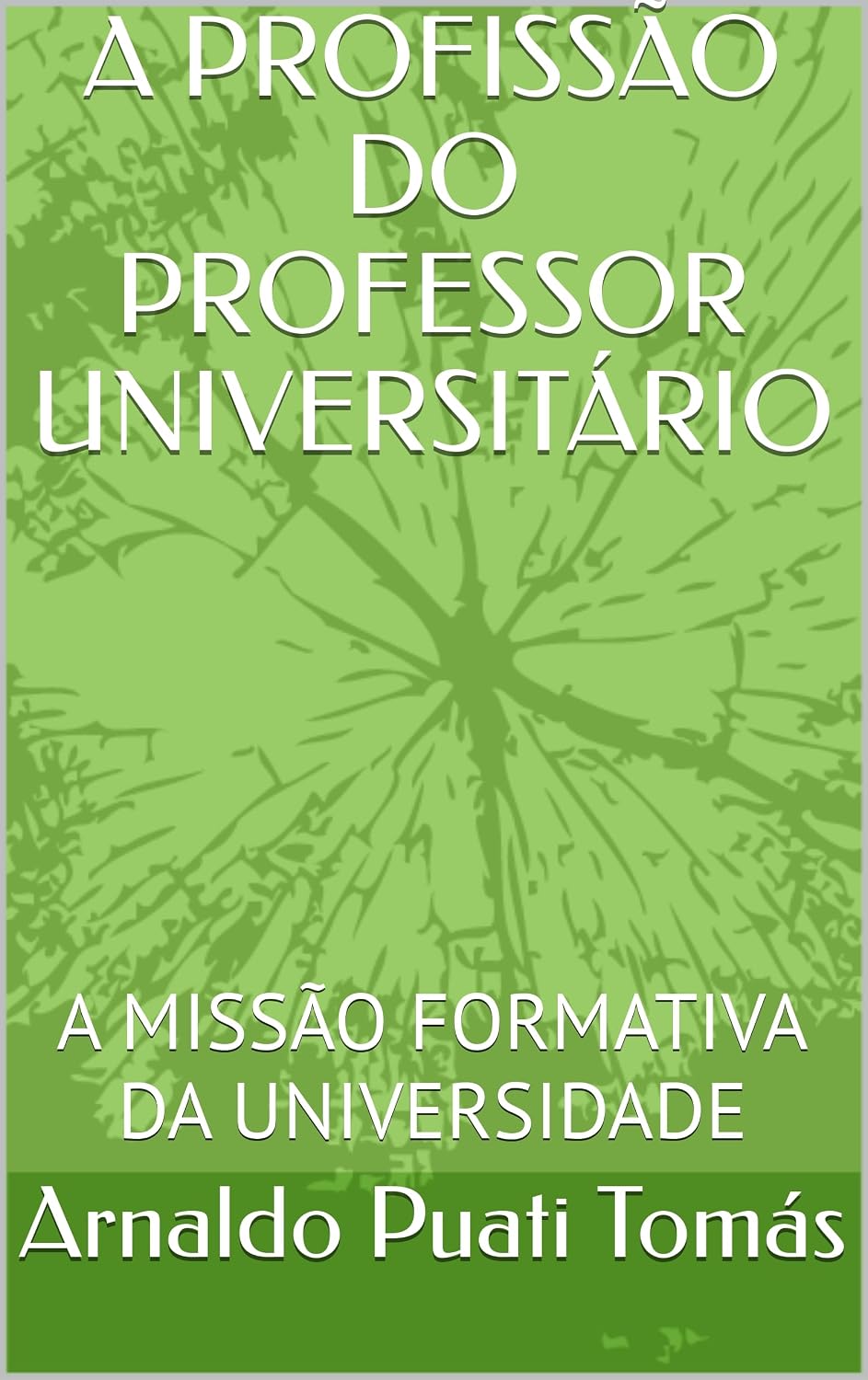 ler totalmente A PROFISSÃO DO PROFESSOR UNIVERSITÁRIO: A MISSÃO FORMATIVA DA UNIVERSIDADE (Edições Académicas Arnaldo Puati Tomás)