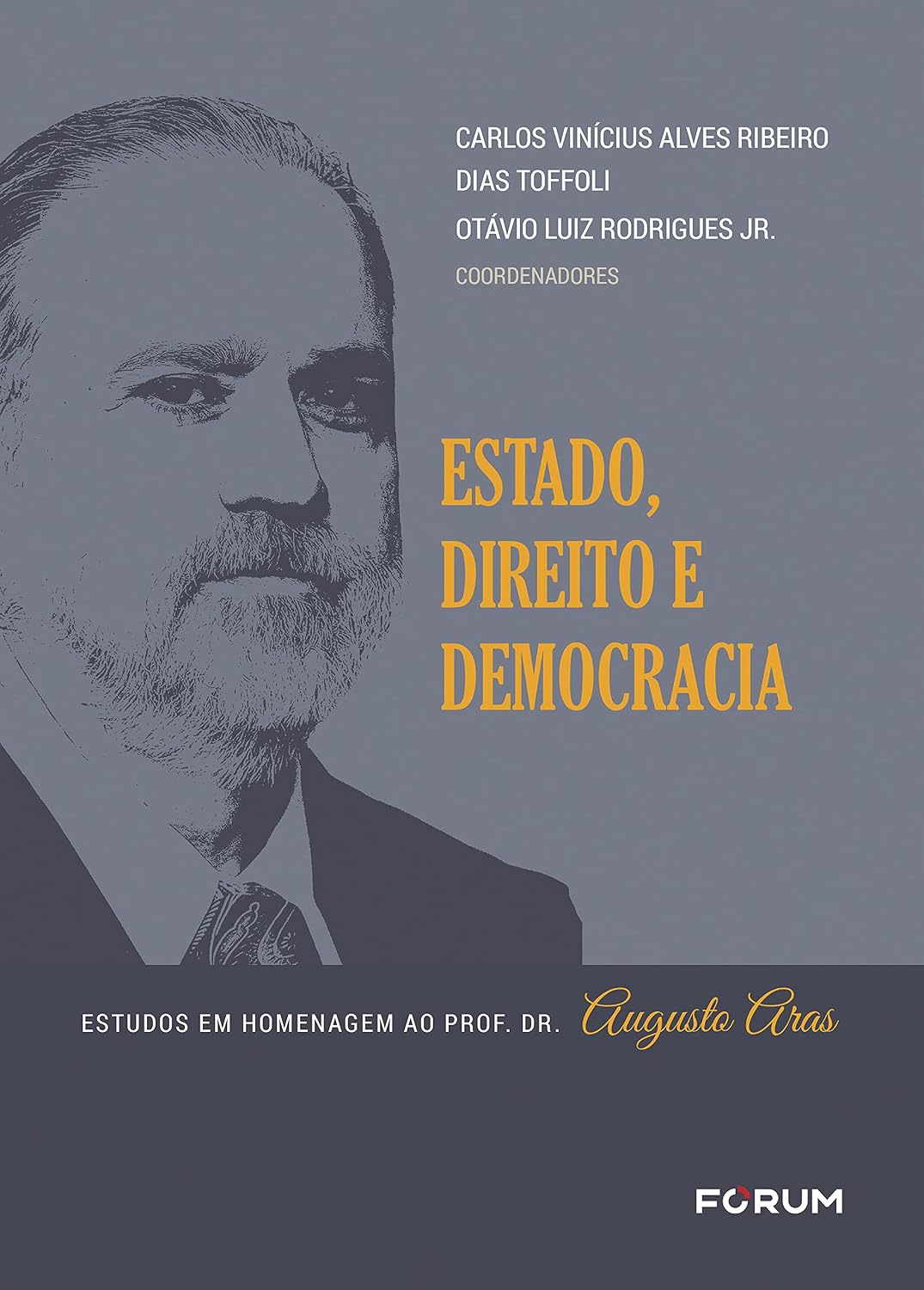 capítulo por capítulo baixar Estado, direito e democracia