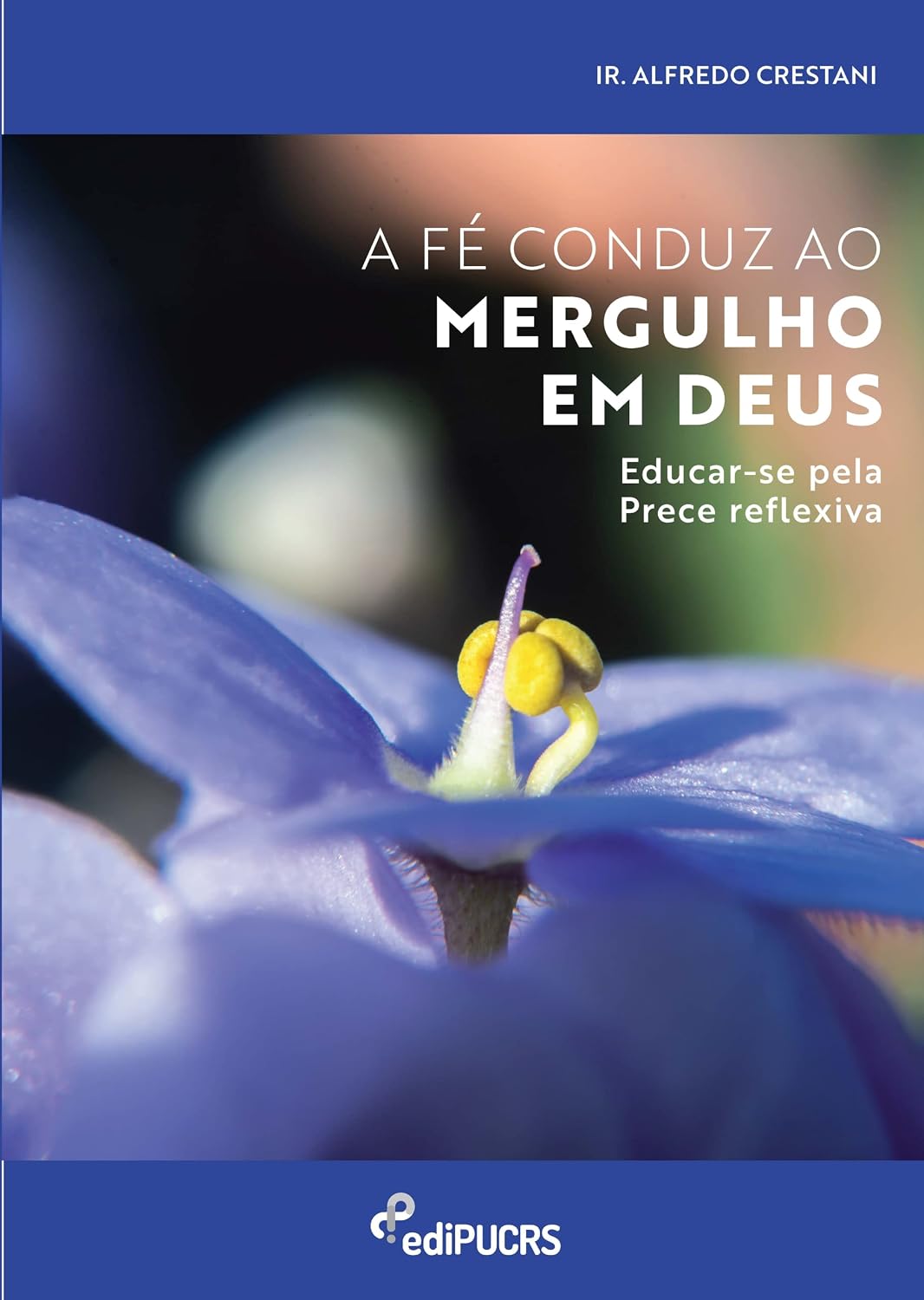 A fé Conduz ao Mergulho em Deus: Educar-se Pela Prece Reflexiva baixar o livro de graça