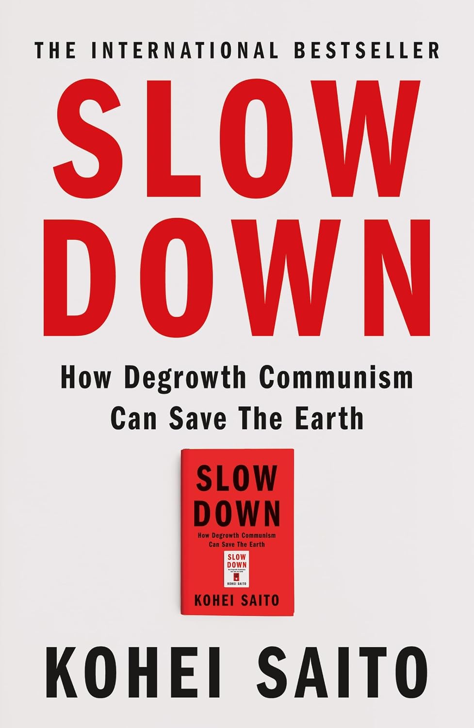 Slow Down: How Degrowth Communism Can Save the Earth (English Edition) baixar livro de graça