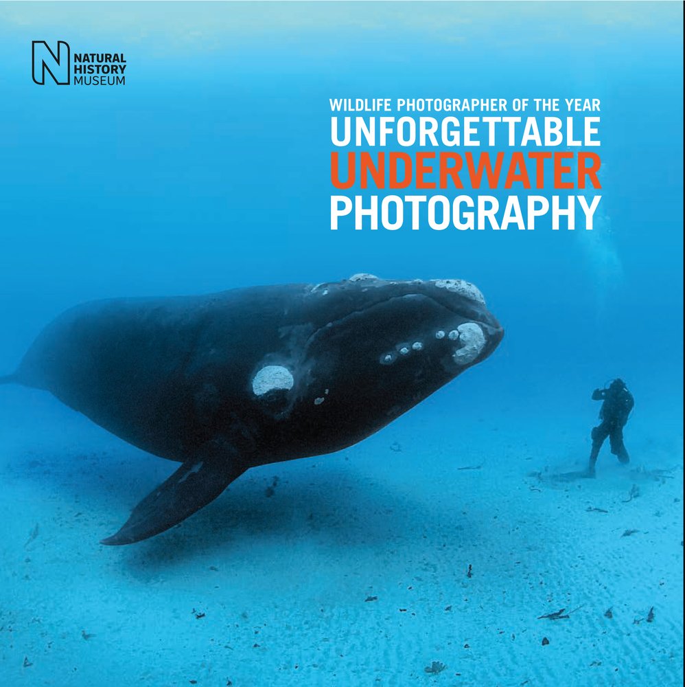 Wildlife Photographer of the Year: Unforgettable Underwater Photography baixar o livro de graça