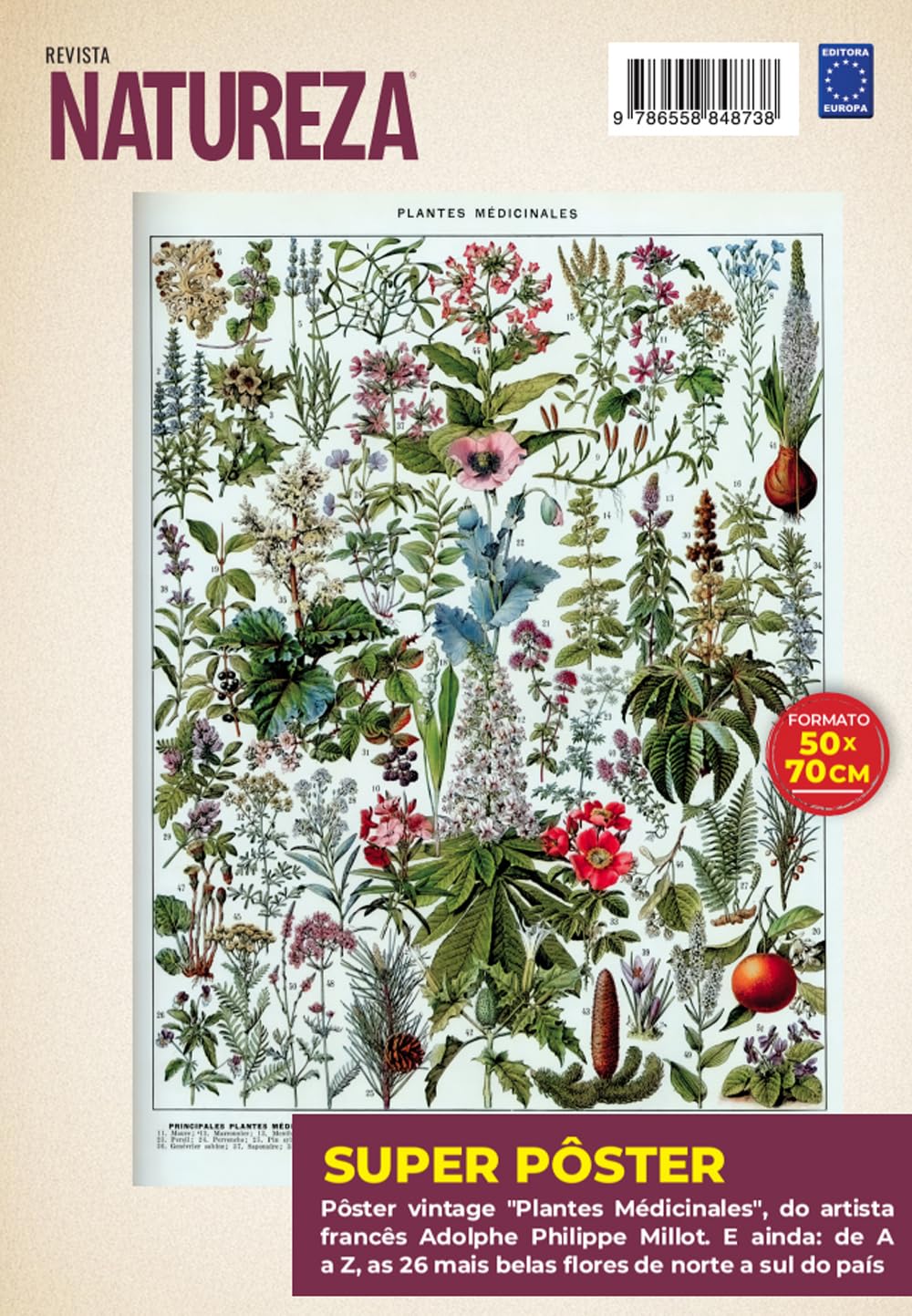Adolphe Philippe Millot: Plantas Medicinais - Superpôster Natureza baixar livro de graça