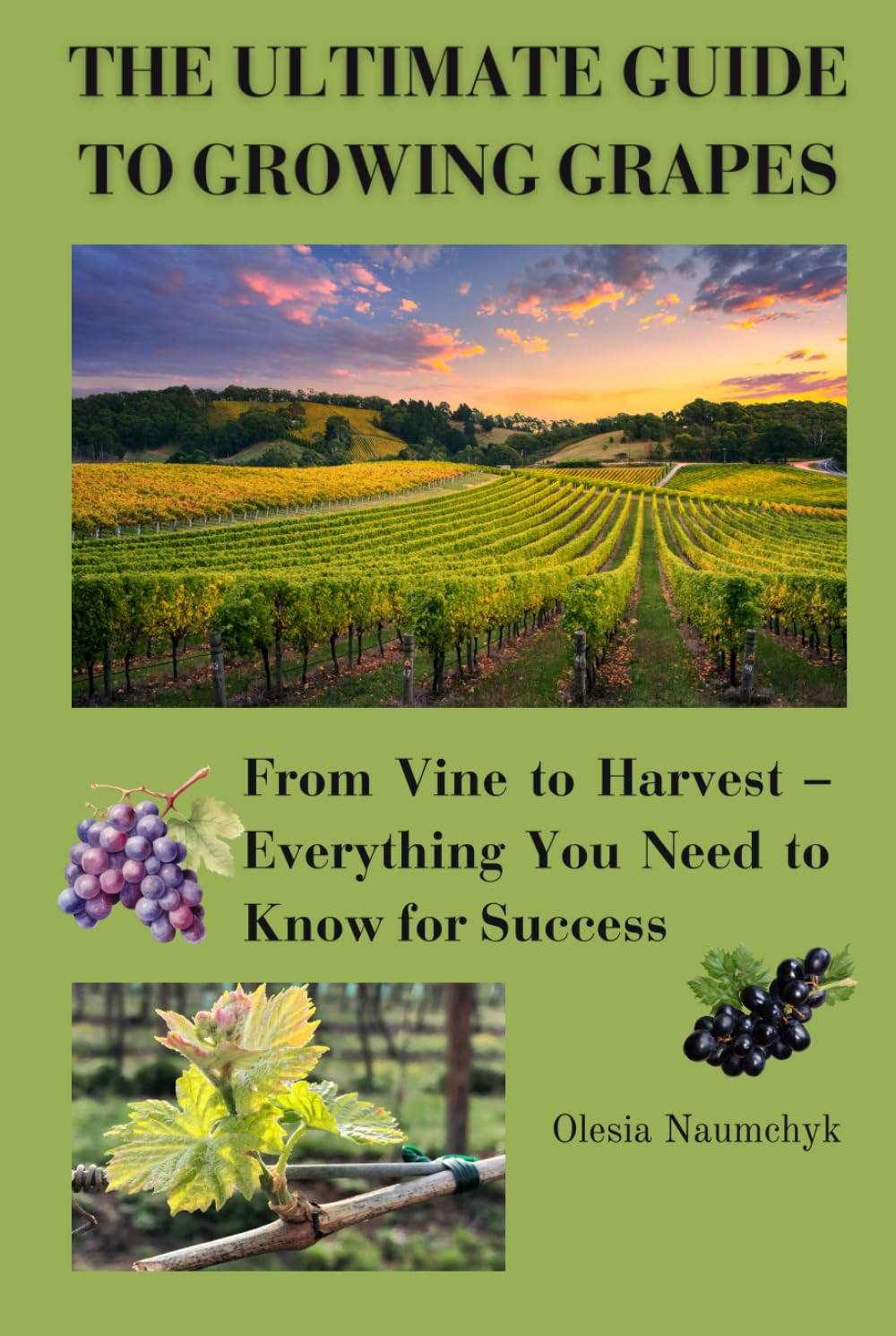 The Ultimate Guide to Growing Grapes: From Vine to Harvest – Everything You Need to Know for Success baixar o livro de graça