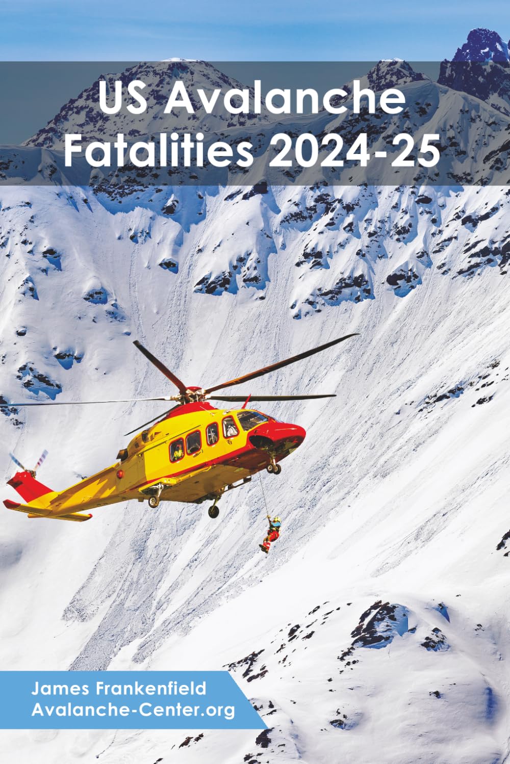 Fatal Avalanches in the US: 2024-25: A Review of the Season's Fatal Avalanches (Fatal Avalanches in the US: A Review of Each Season) baixar o livro de graça