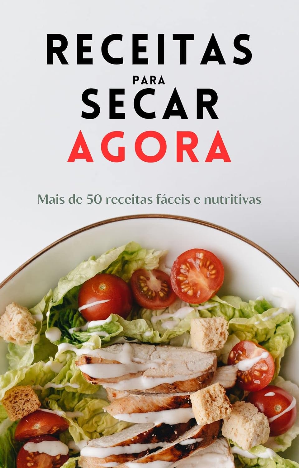 Receitas para Secar Agora: Mais de 50 receitas Fáceis e Nutritivas baixar livro de graça
