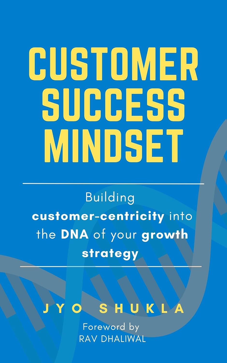 ler totalmente Customer Success Mindset: Building Customer-Centricity into the DNA of your Growth Strategy (English Edition)