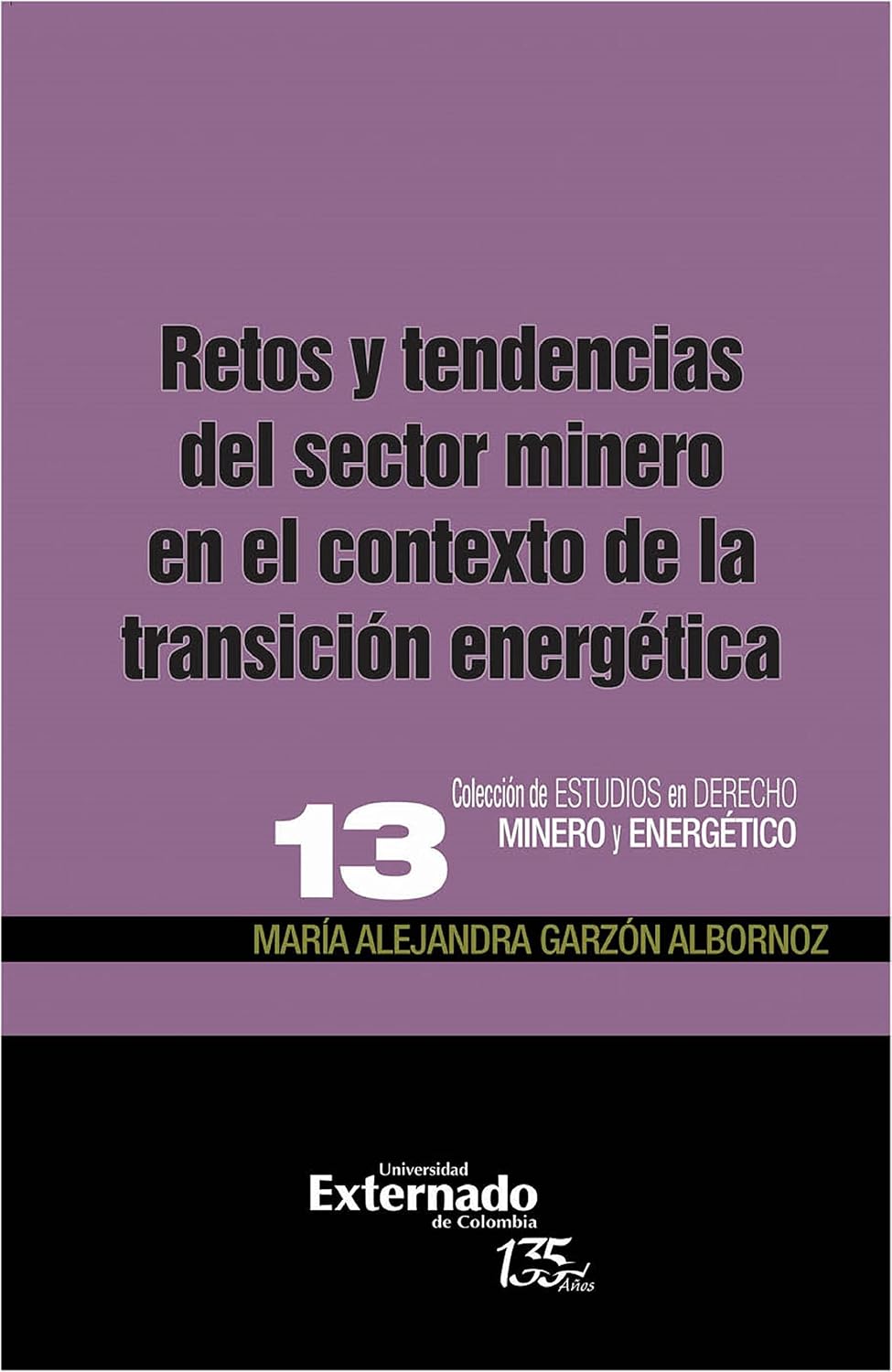 Retos y tendencias del sector minero en el contexto de la transición energetica (Spanish Edition)