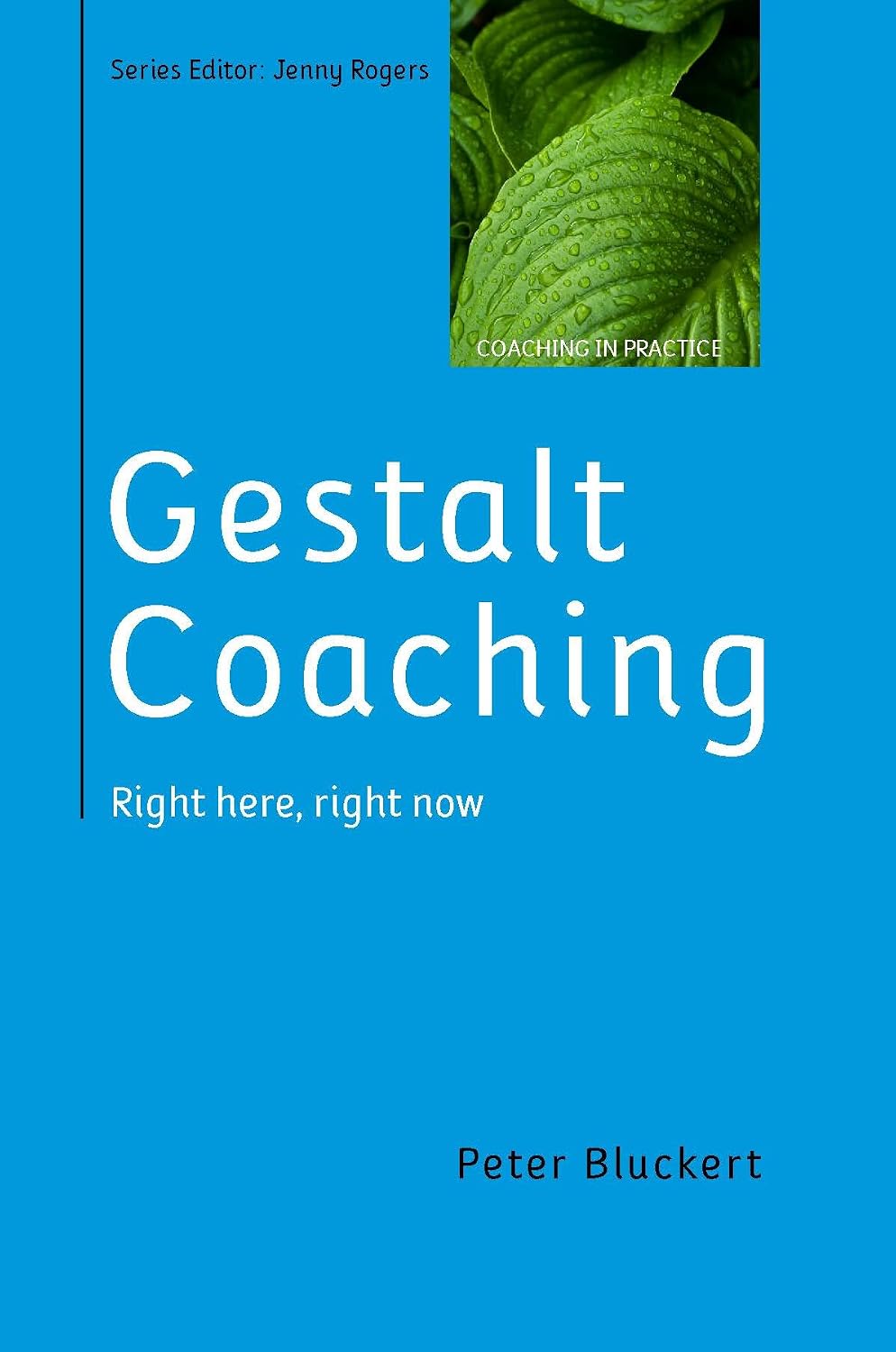 ler totalmente Gestalt Coaching: Right Here, Right Now (UK Higher Education OUP Humanities & Social Sciences Counselling and Psychotherapy) (English Edition)